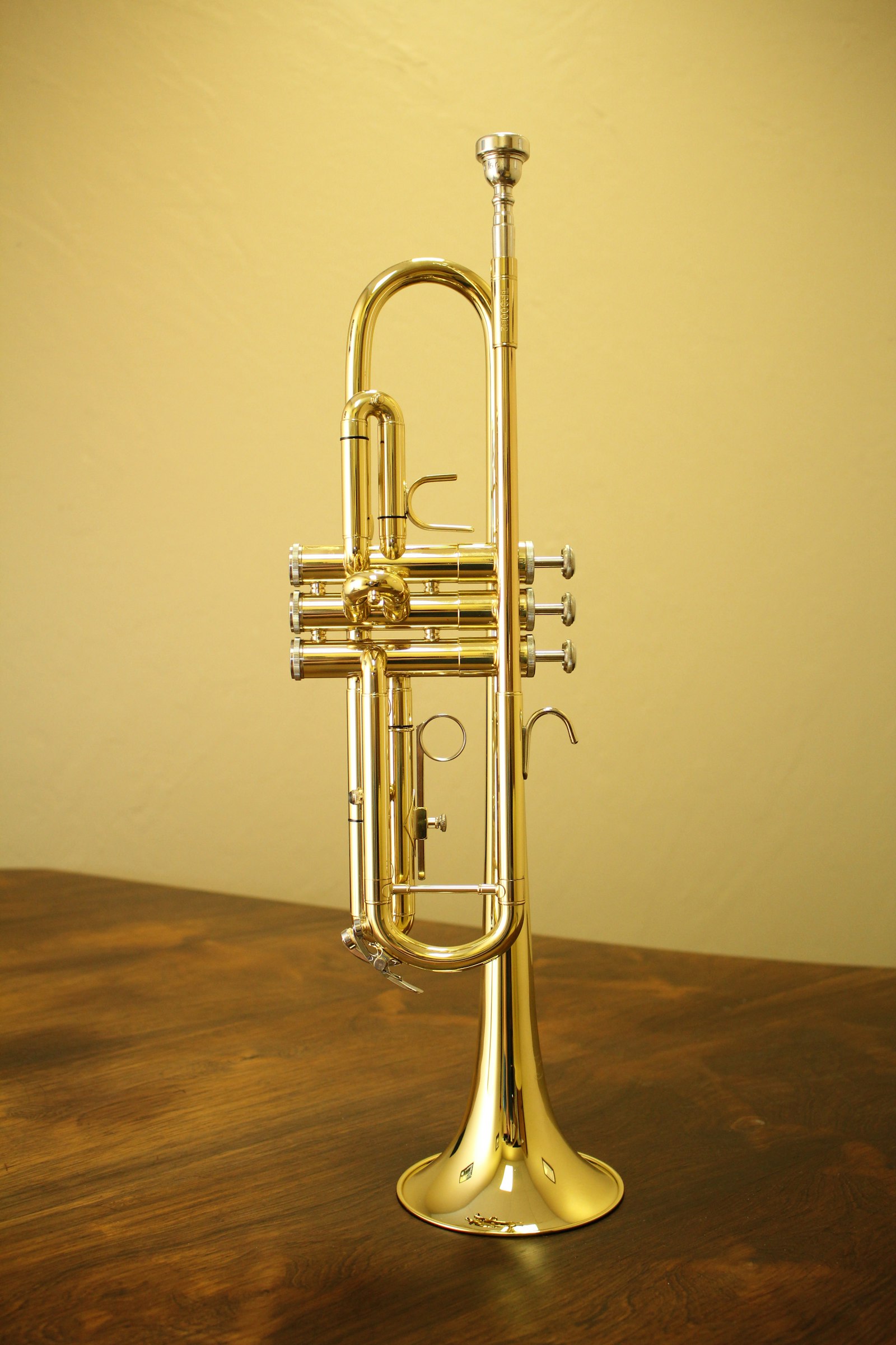 Canon EOS 60D + Canon EF-S 18-55mm F3.5-5.6 IS STM sample photo. Brass-colored trumpet photography