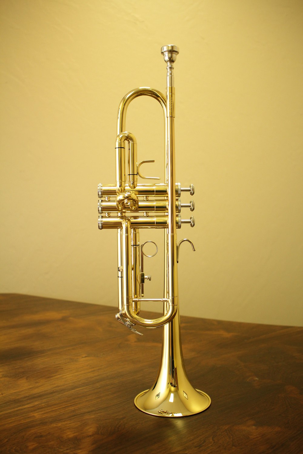 trompeta de color latón