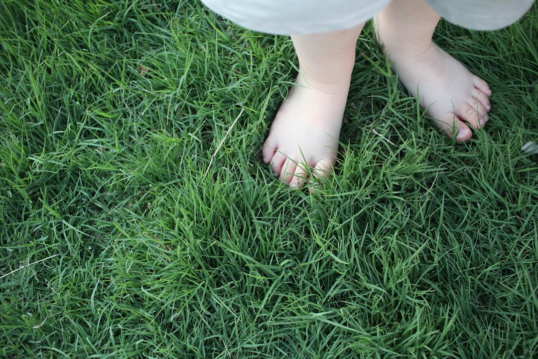 toddler standing on grasses