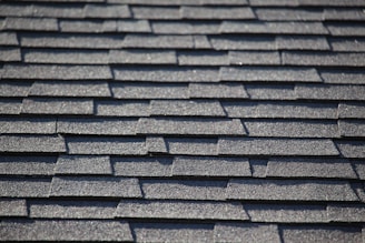 a close up of a roof with a bird perched on top of it