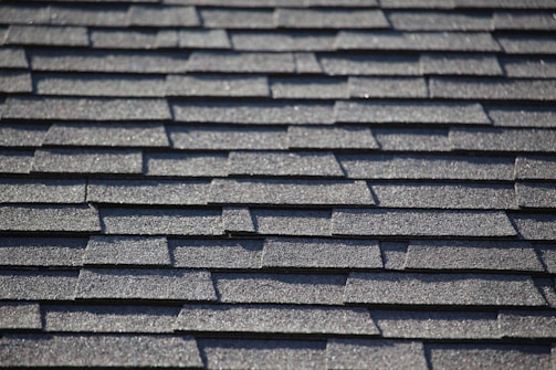 a close up of a roof with a bird perched on top of it