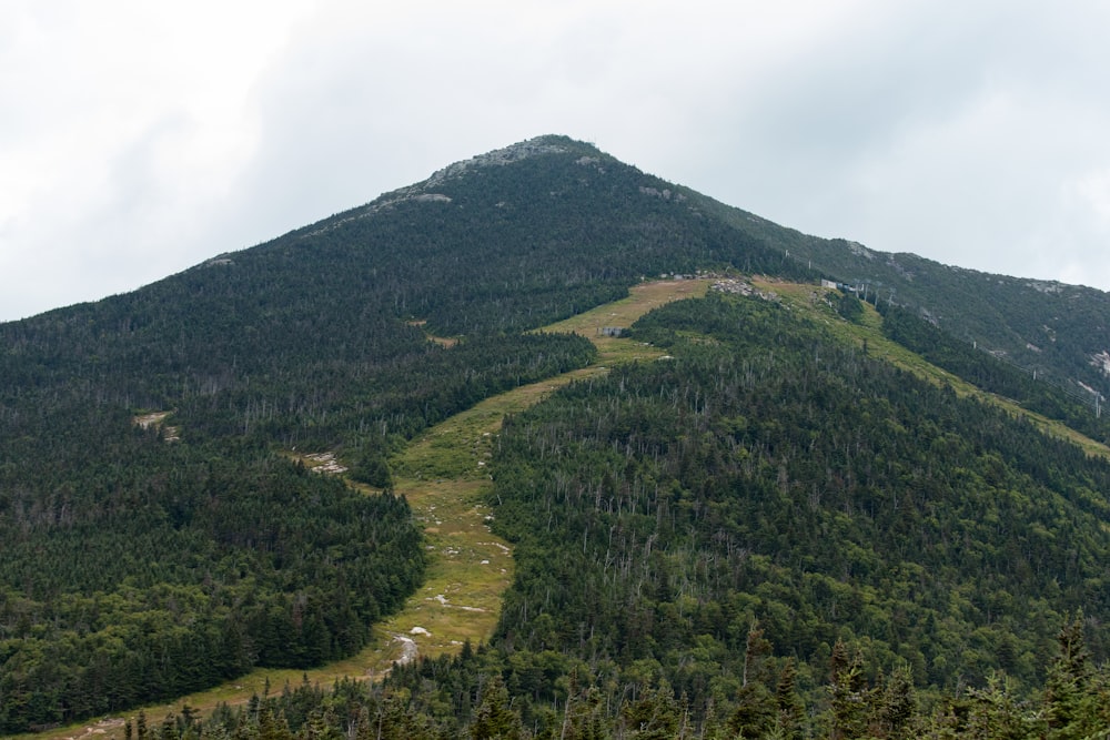 landscape photography of green mountain