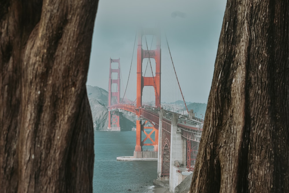 Golden State Bridge