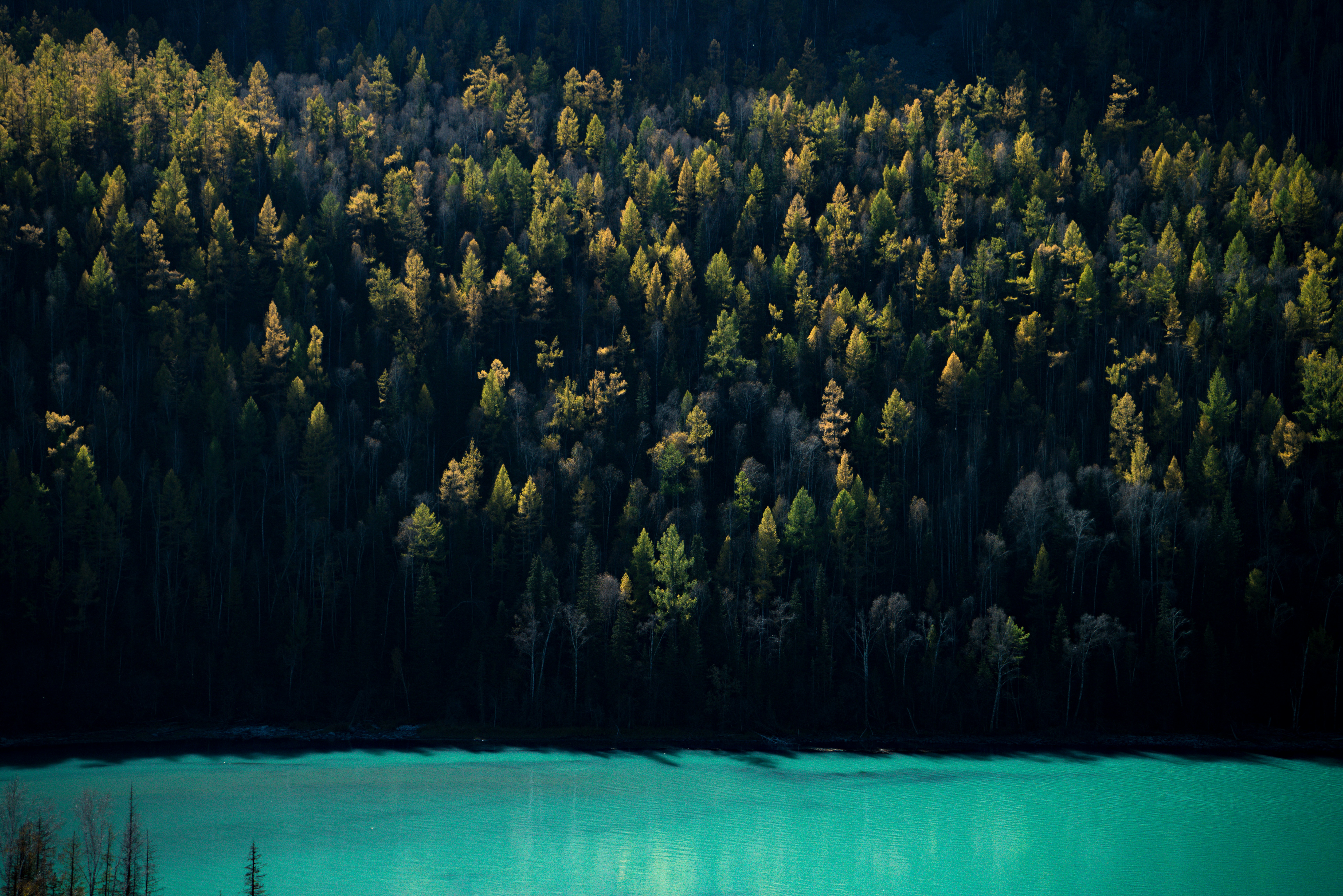 Photo by juniperphoton