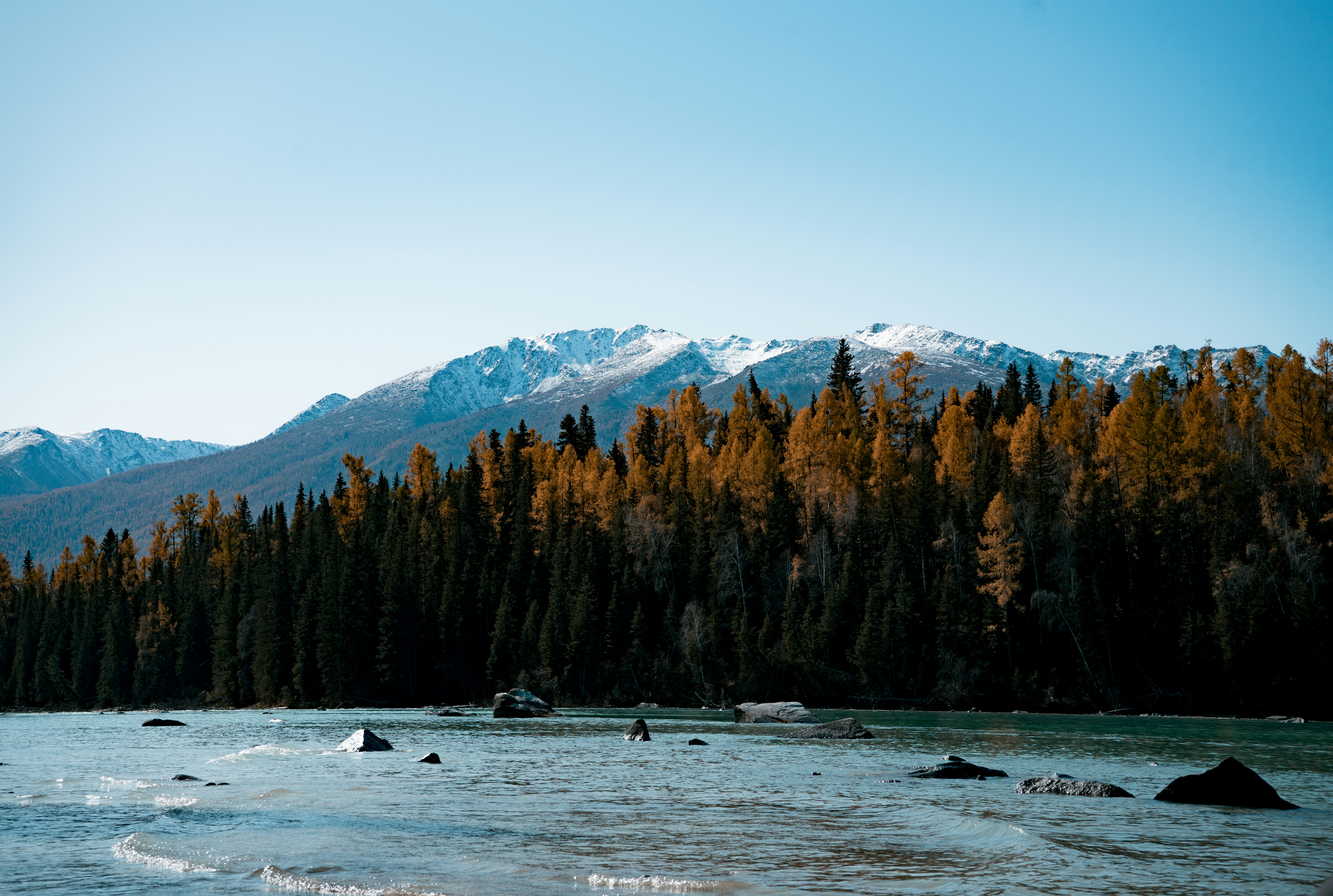 Photo by juniperphoton