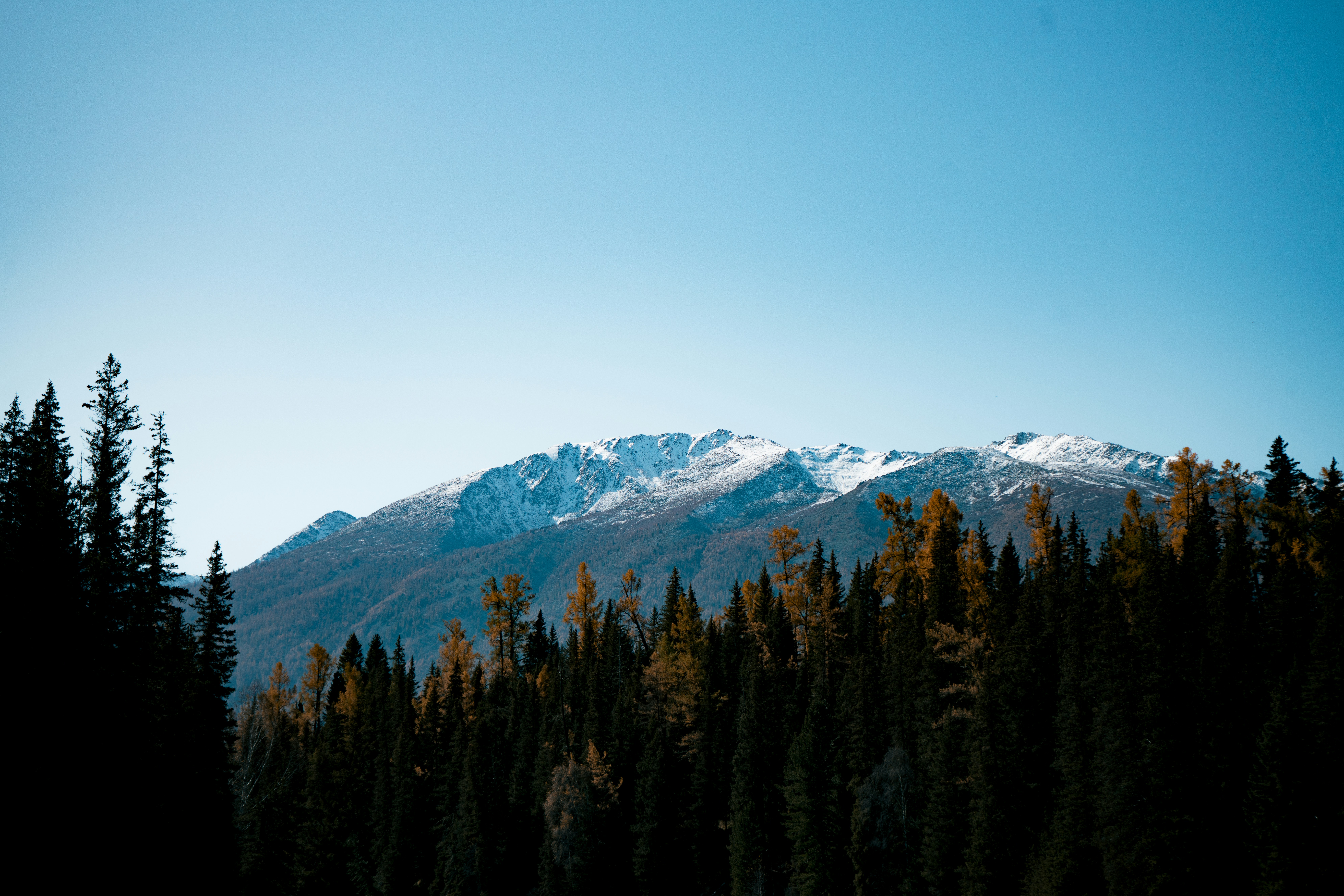 Photo by juniperphoton