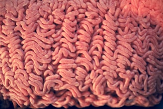 A close-up view of raw ground meat with a textured, wavy pattern. The meat appears densely packed and fibrous, showing the typical interlocking strands seen in minced products.