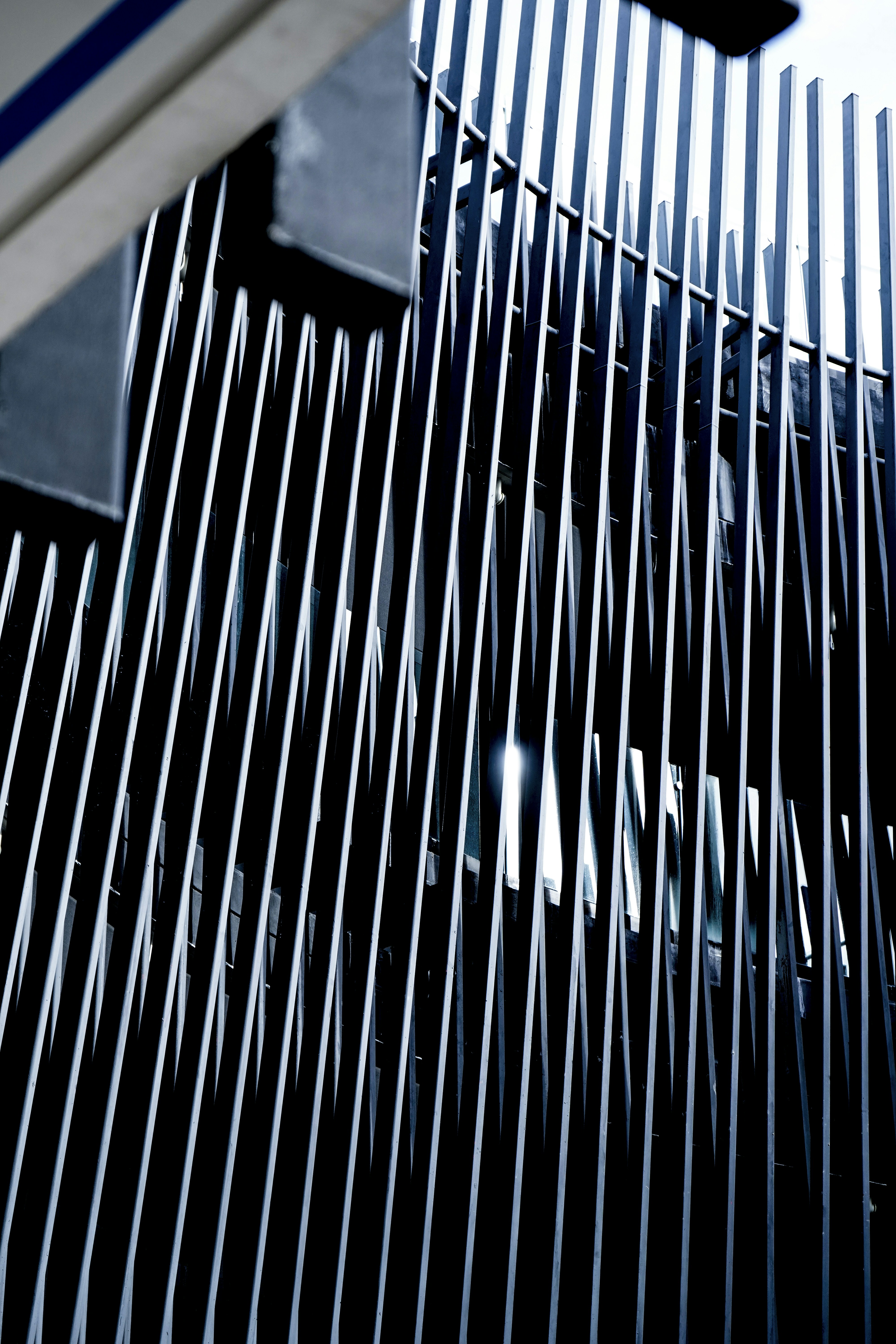 Photo by eduardocanophotoco