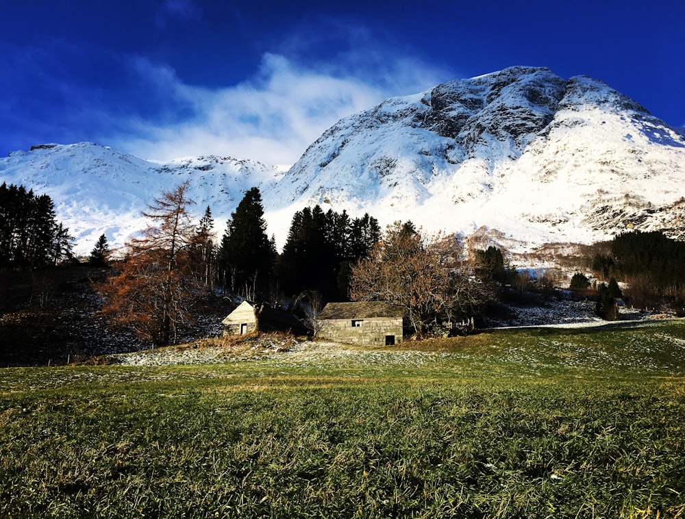 landscape photography of grass field and mountain