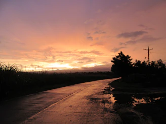 Sunset view over rural roads constructed by MM Agroservicios, highlighting smooth access paths