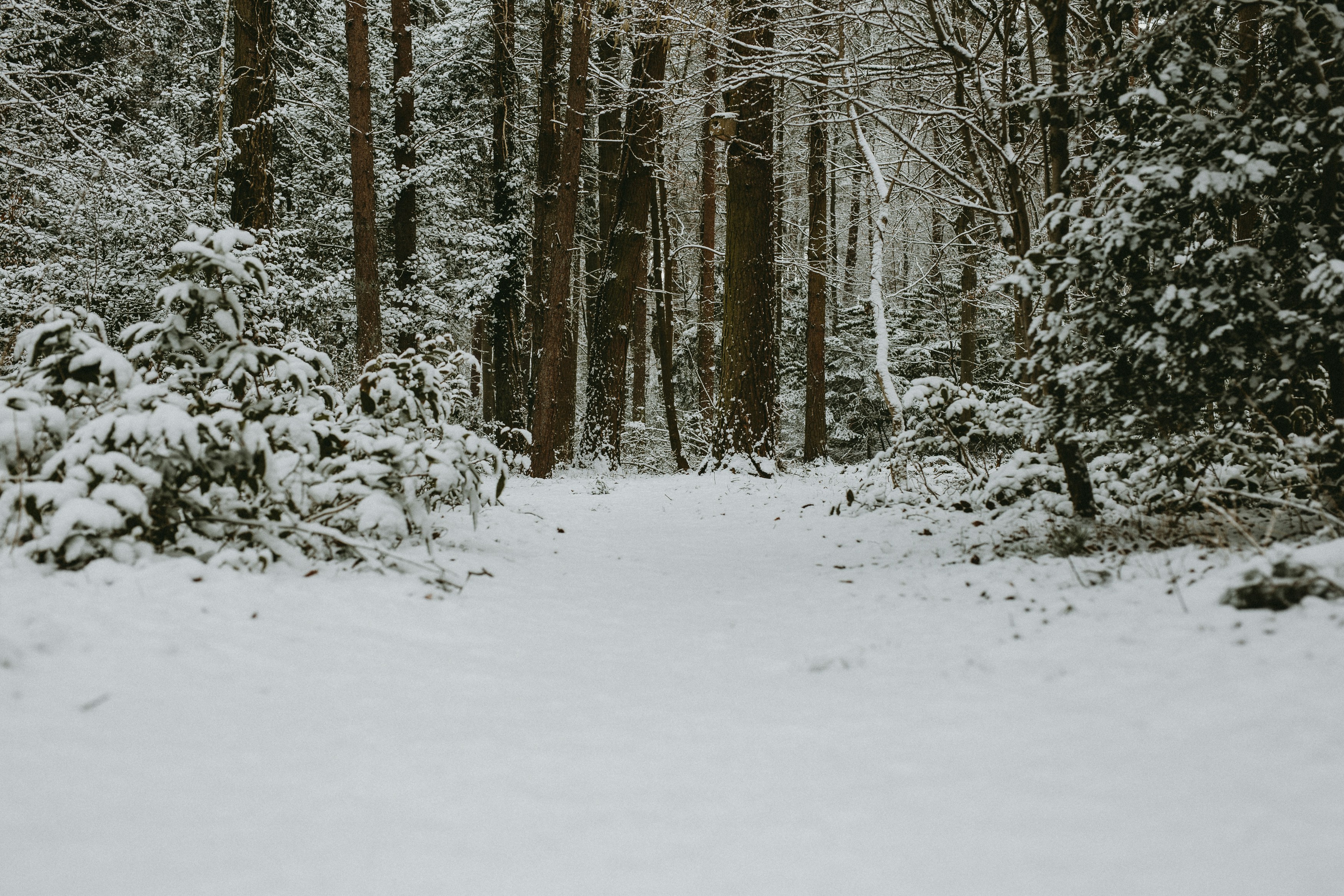 Photo by annabellalifestyle