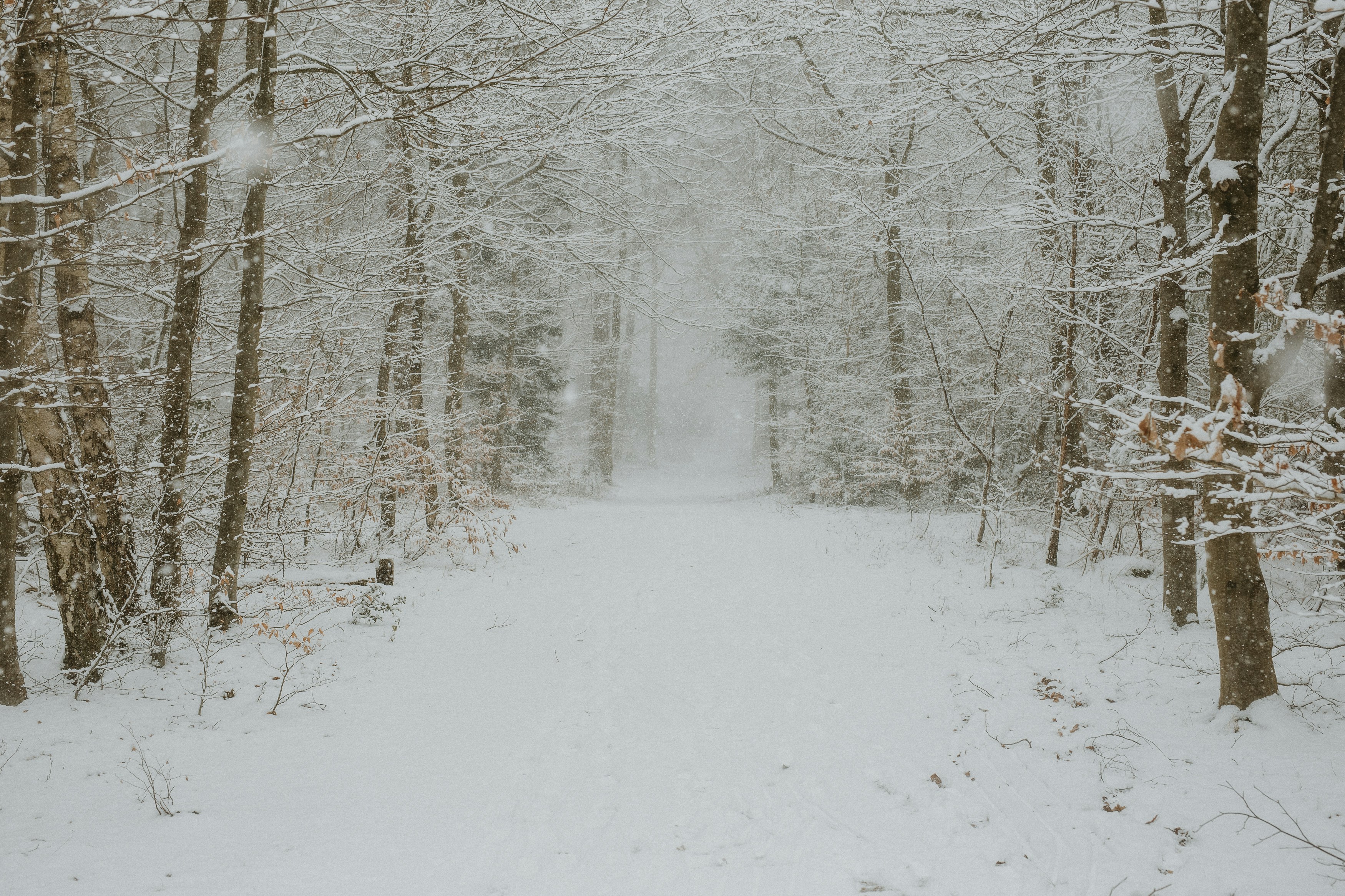 Photo by annabellalifestyle