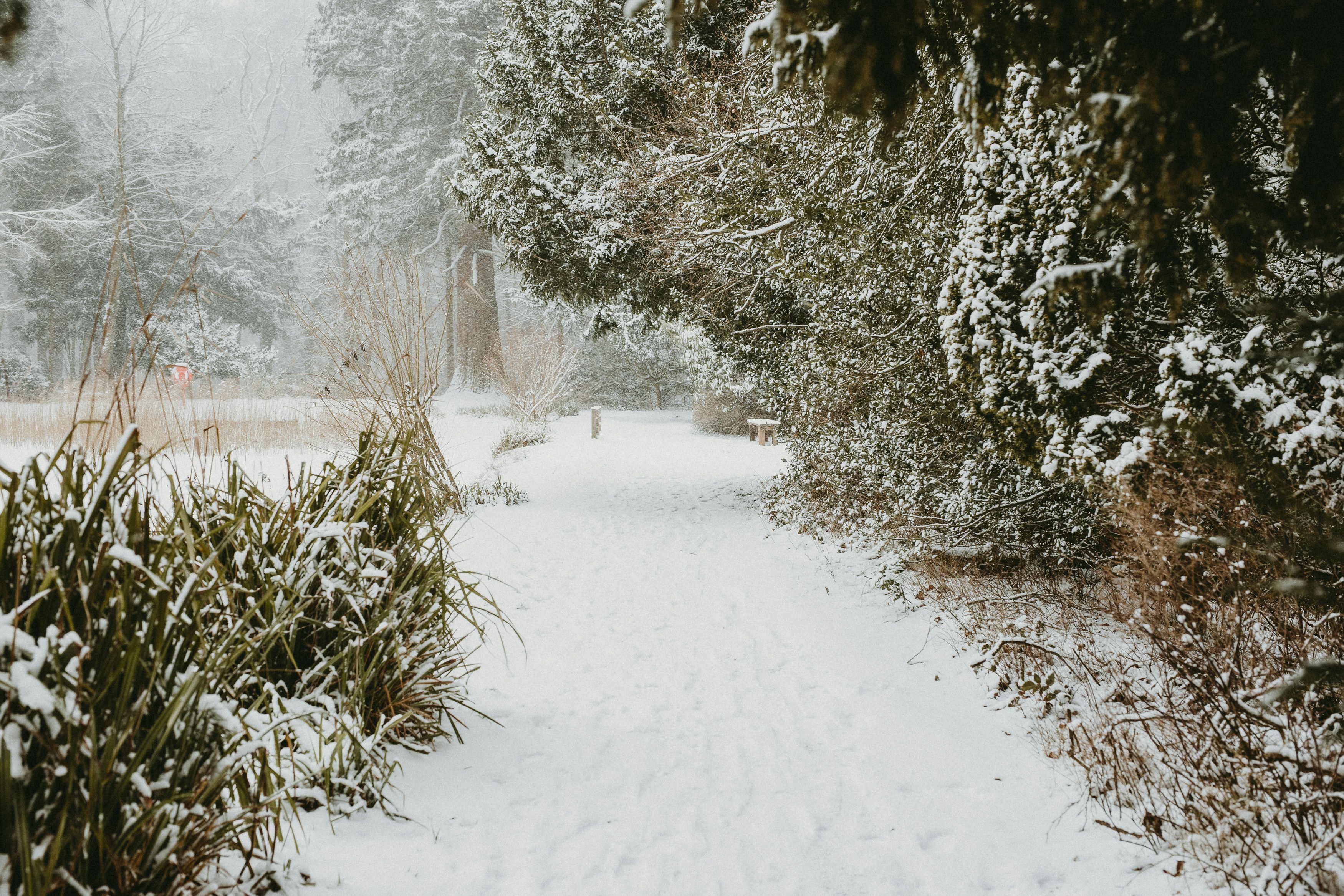 Photo by annabellalifestyle