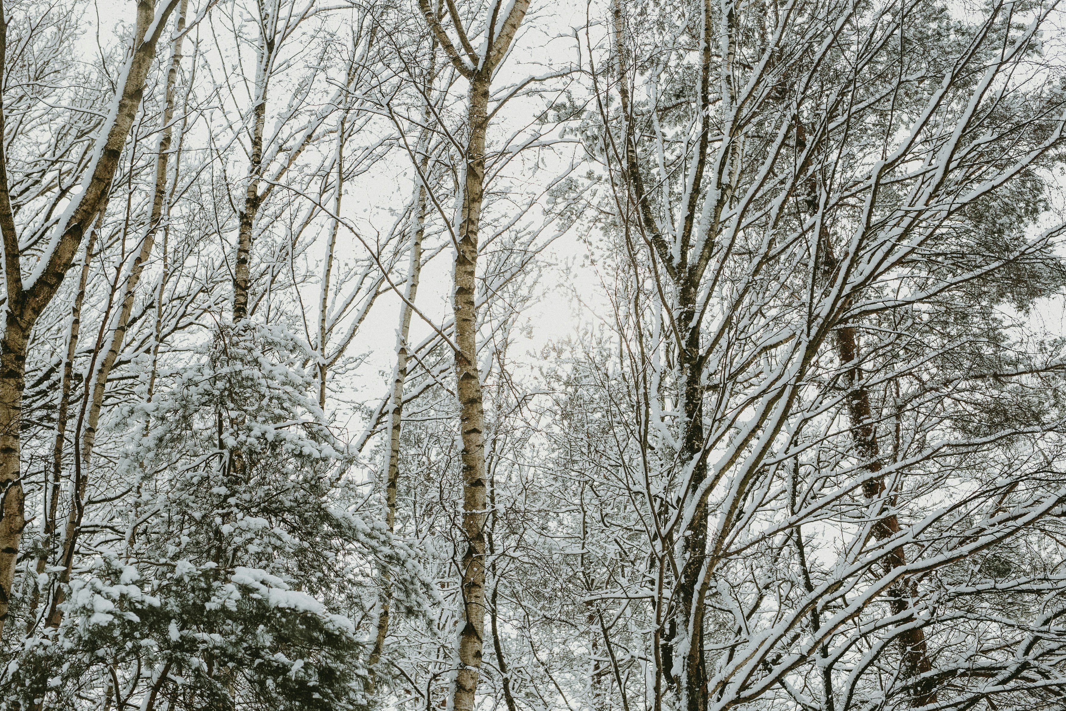 Photo by annabellalifestyle