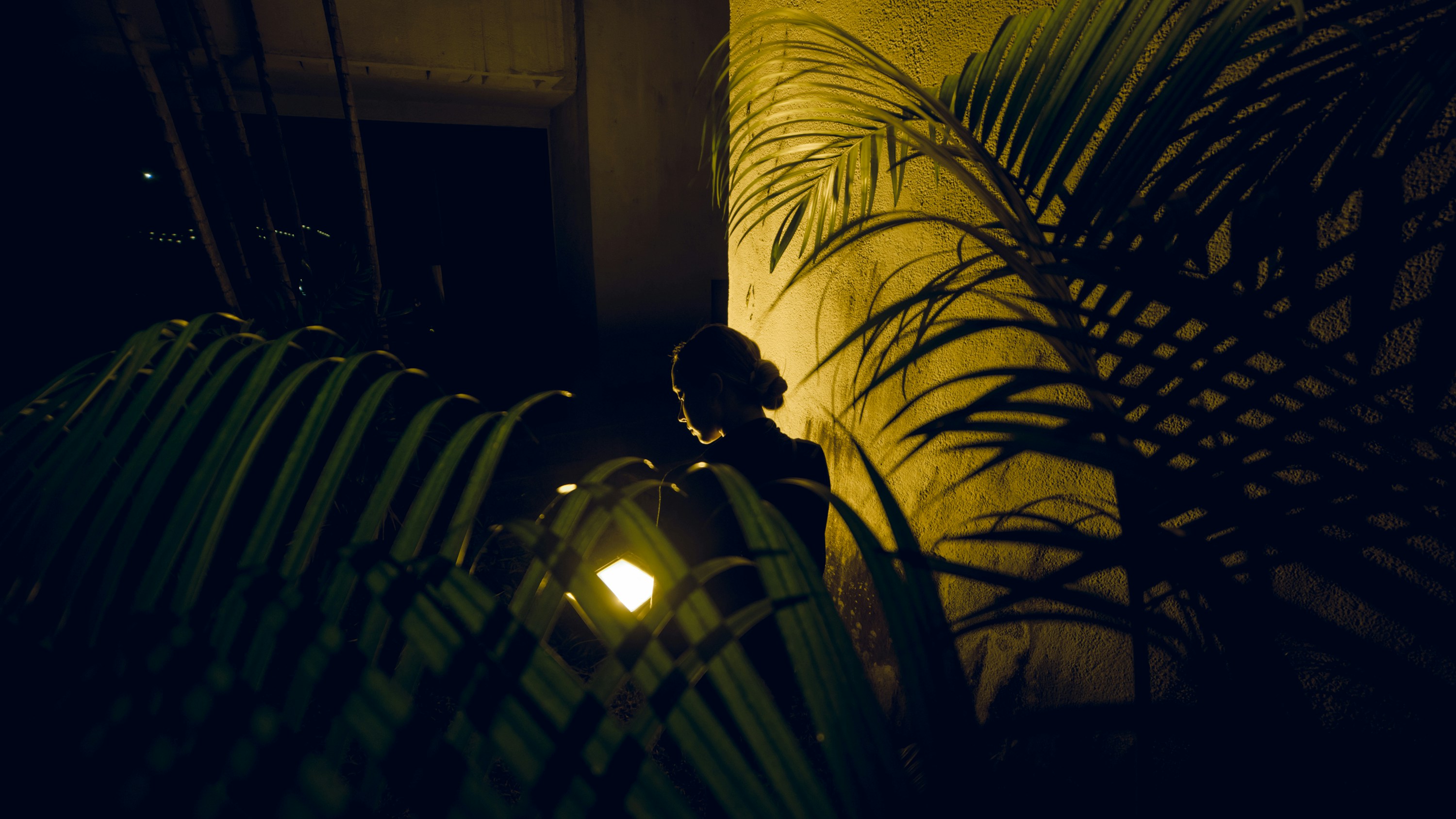 Photo by brdnkvision