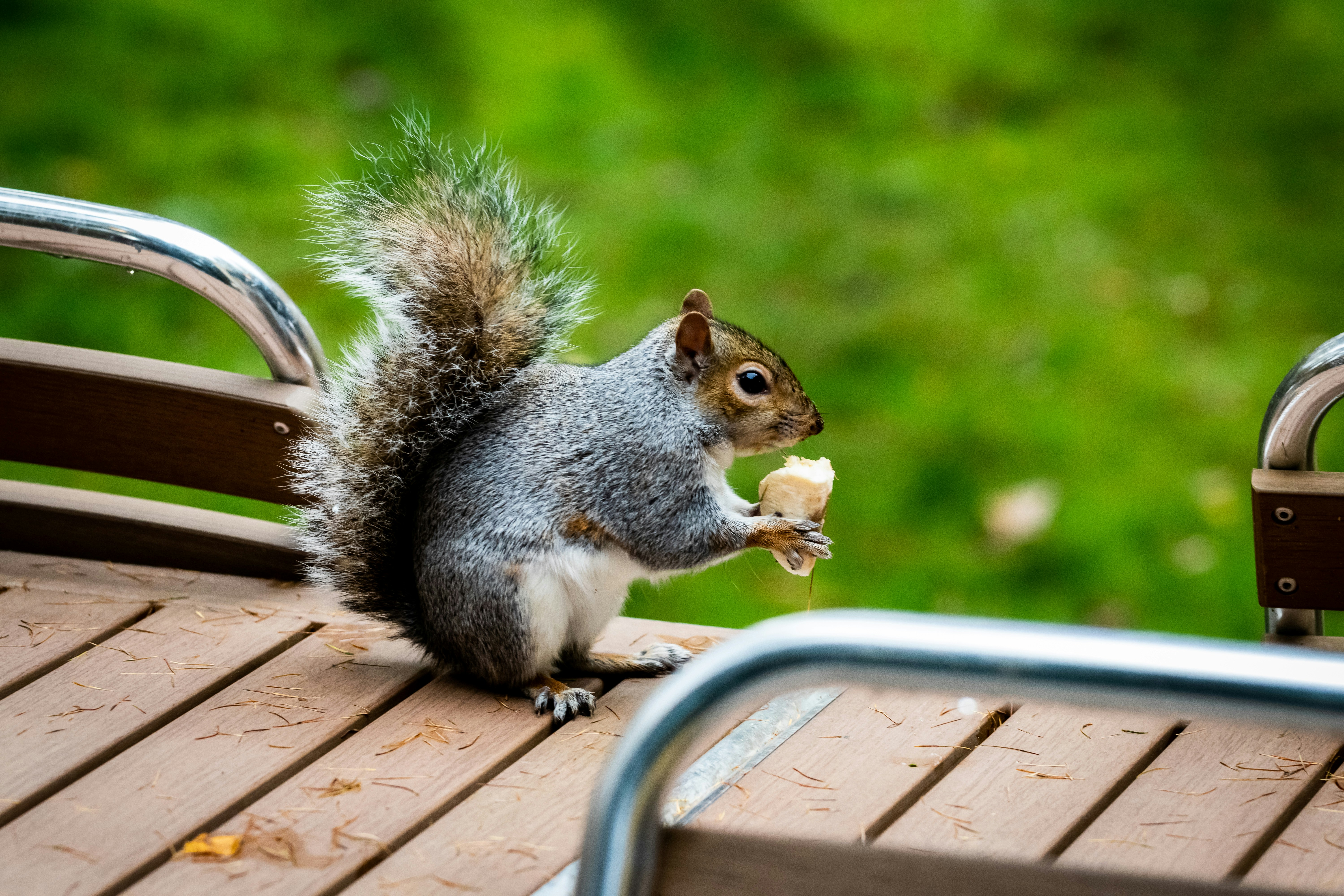 Photo by jackpriceburns