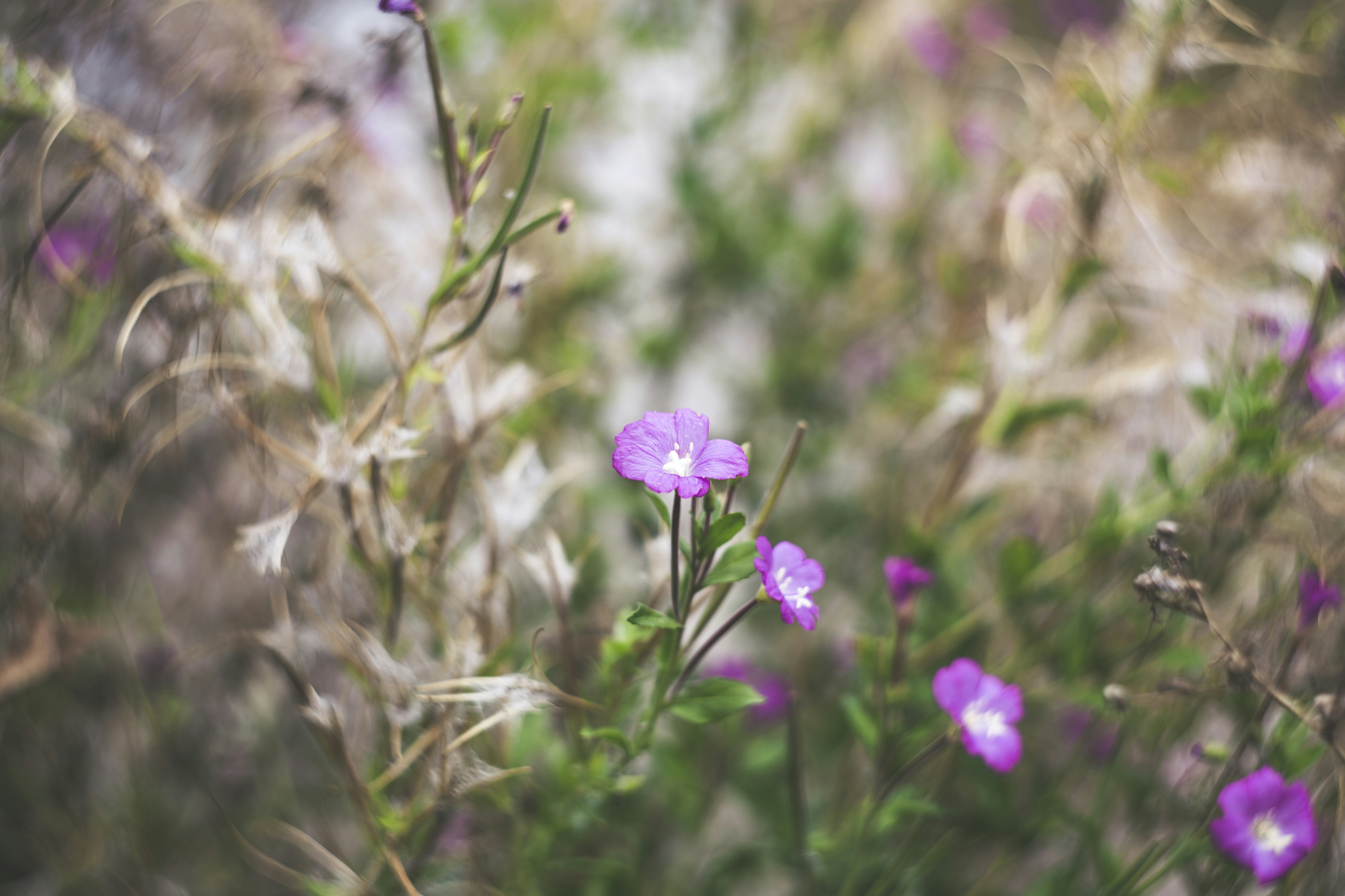 Photo by markusspiske