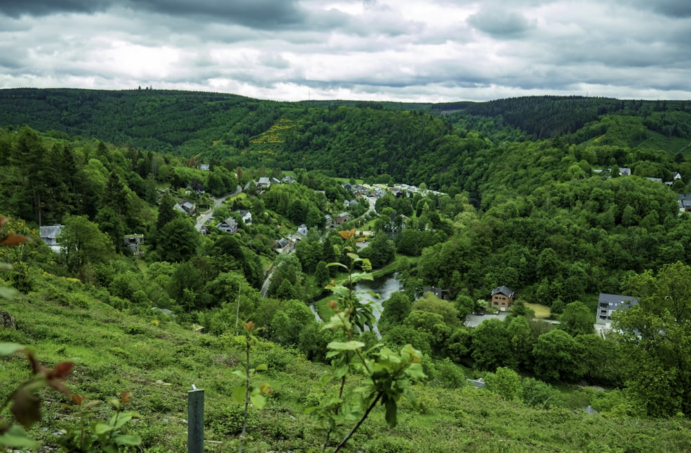 green trees on mountain under cloudy sky during daytime