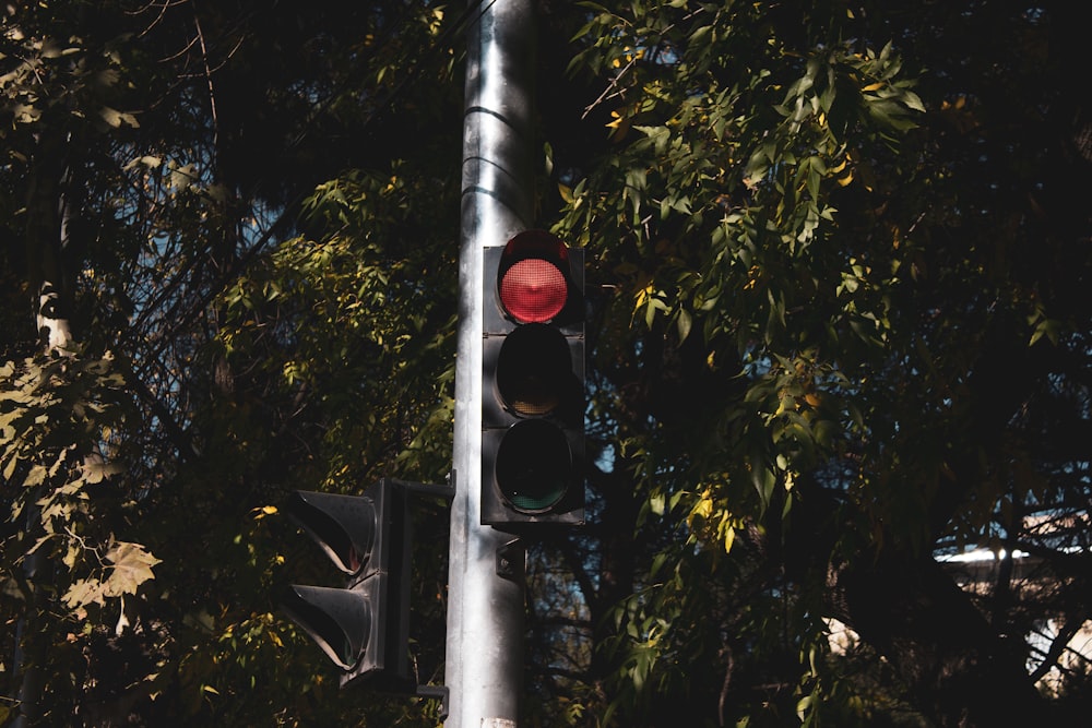traffic light showing red light