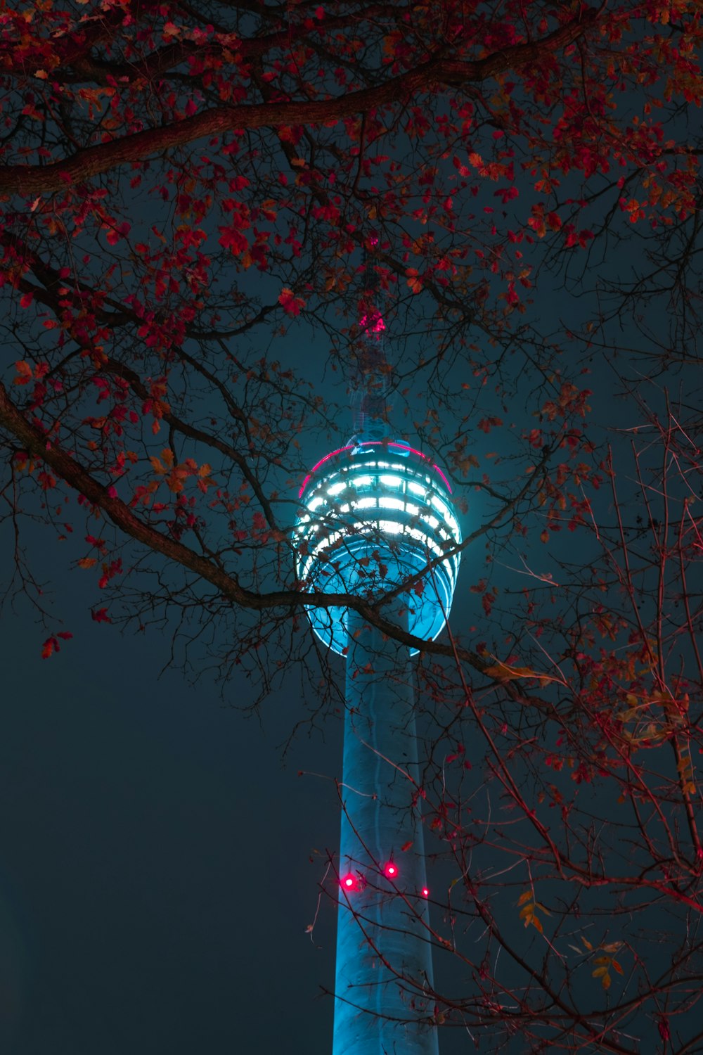 夜間のライトアップされたタワーのローアングル撮影
