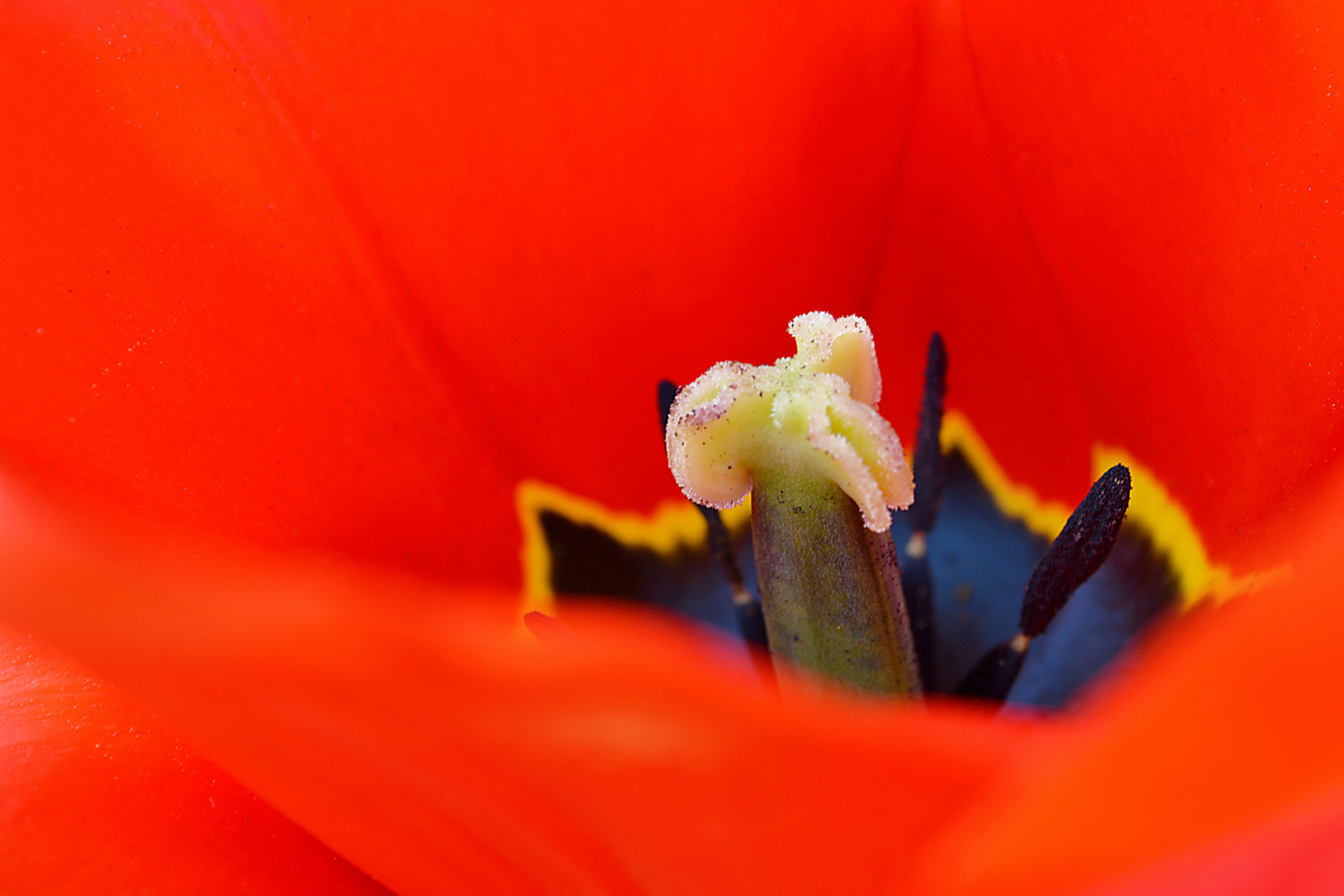 Photo by andreavirtuell