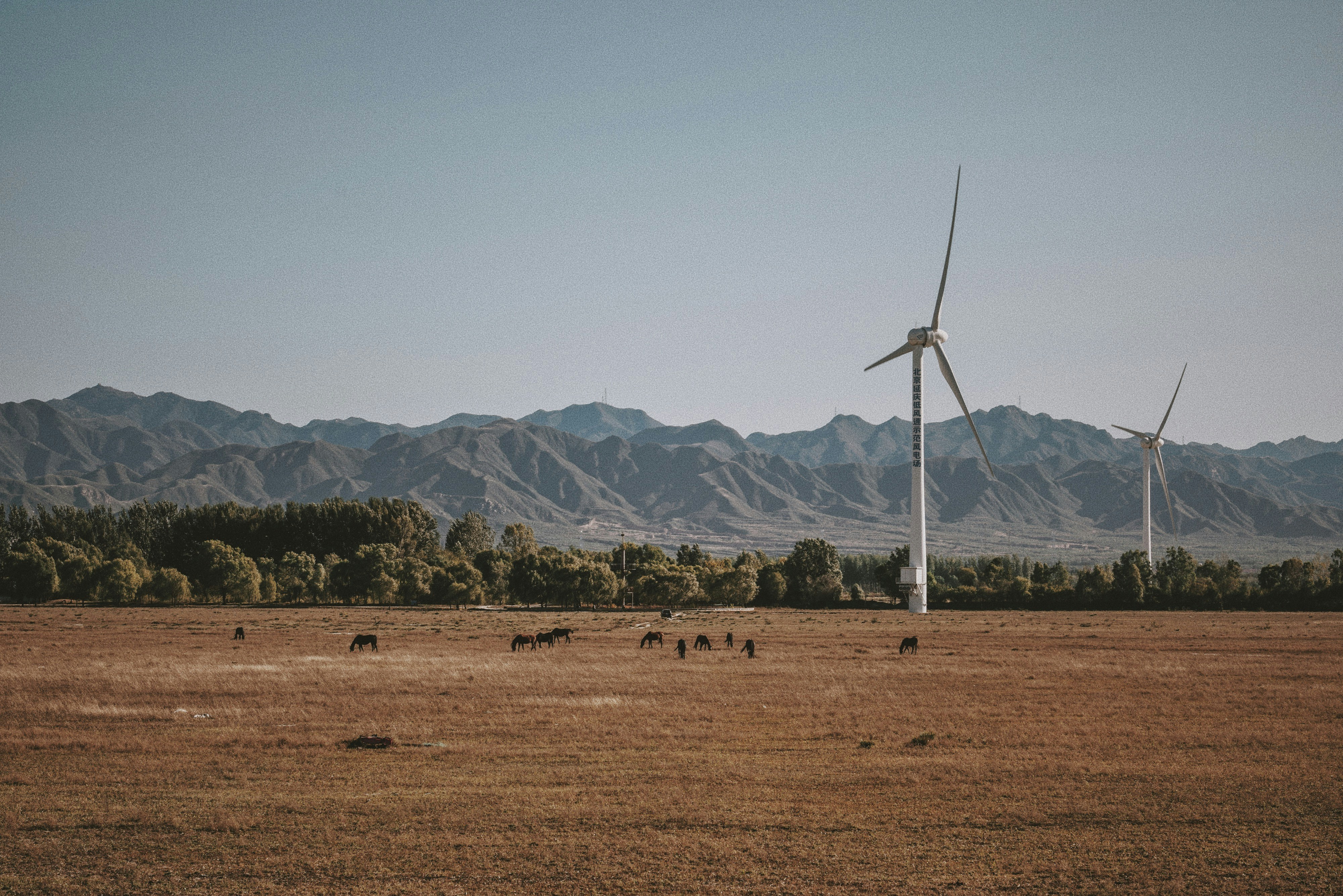 Photo by jacky1986615