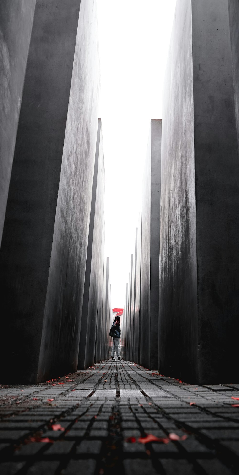 person standing on road in between high-rise buildings