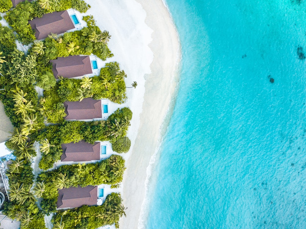 aerial photography of houses near body of water during daytime