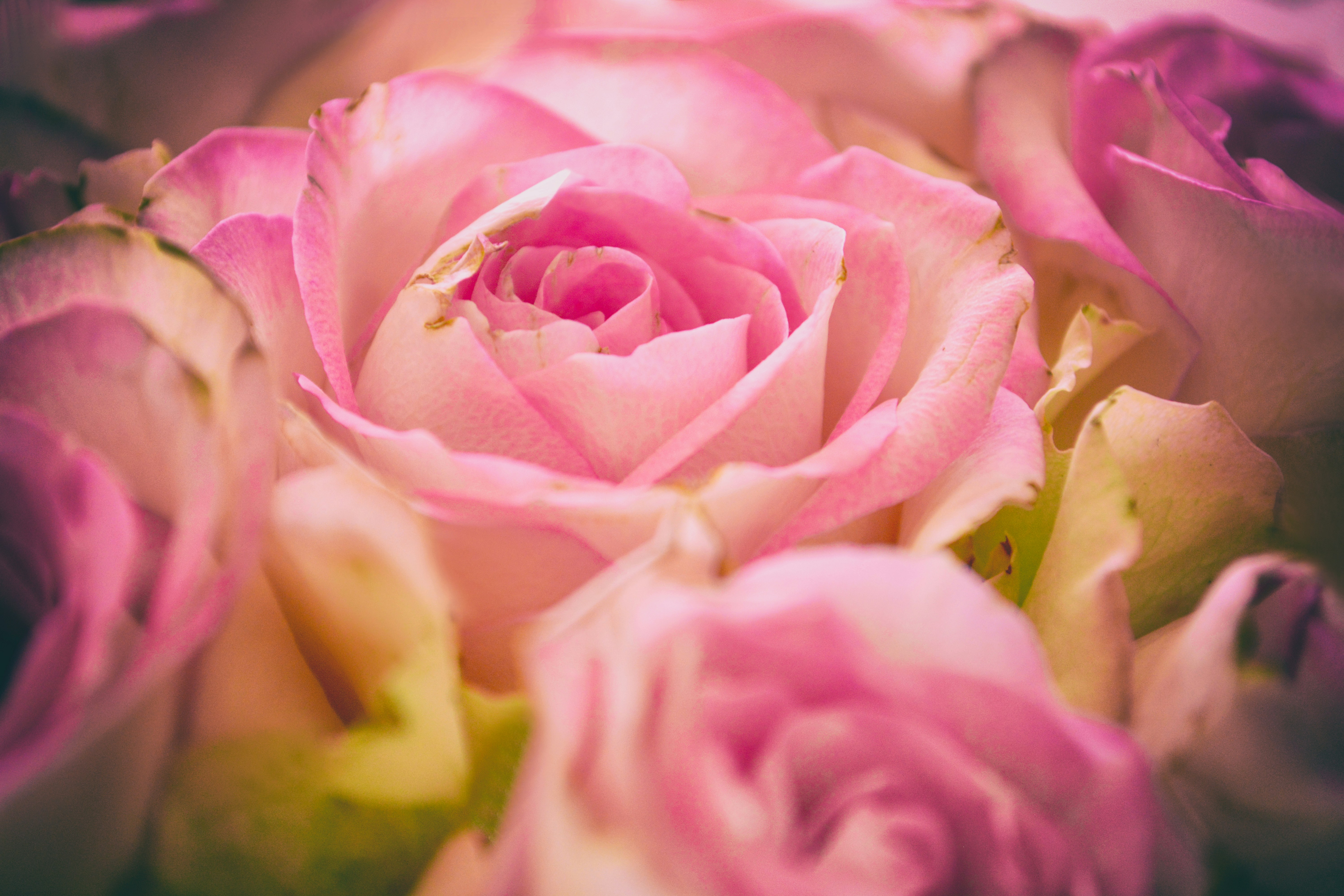 Photo by andreavirtuell