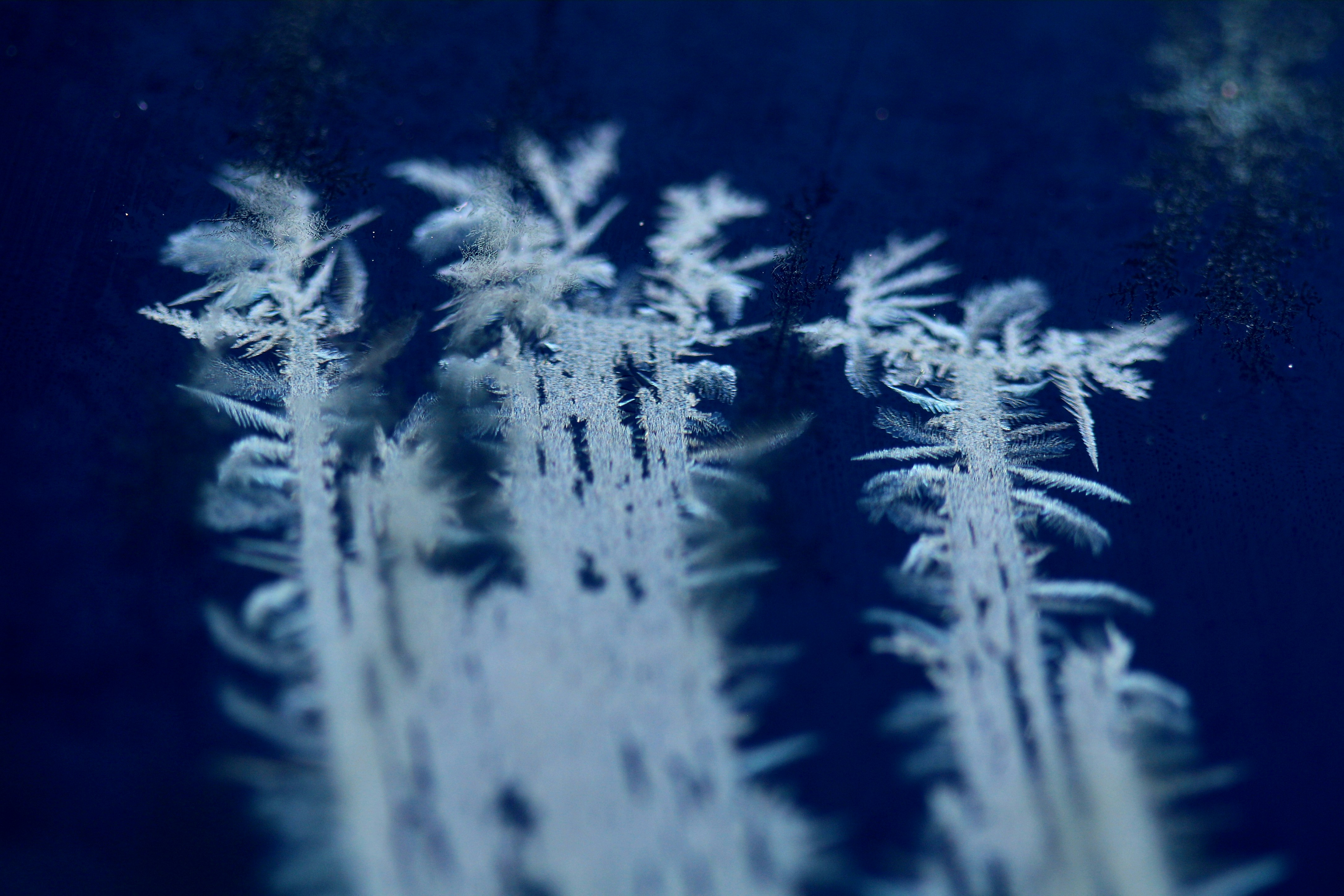 Photo by richardworks