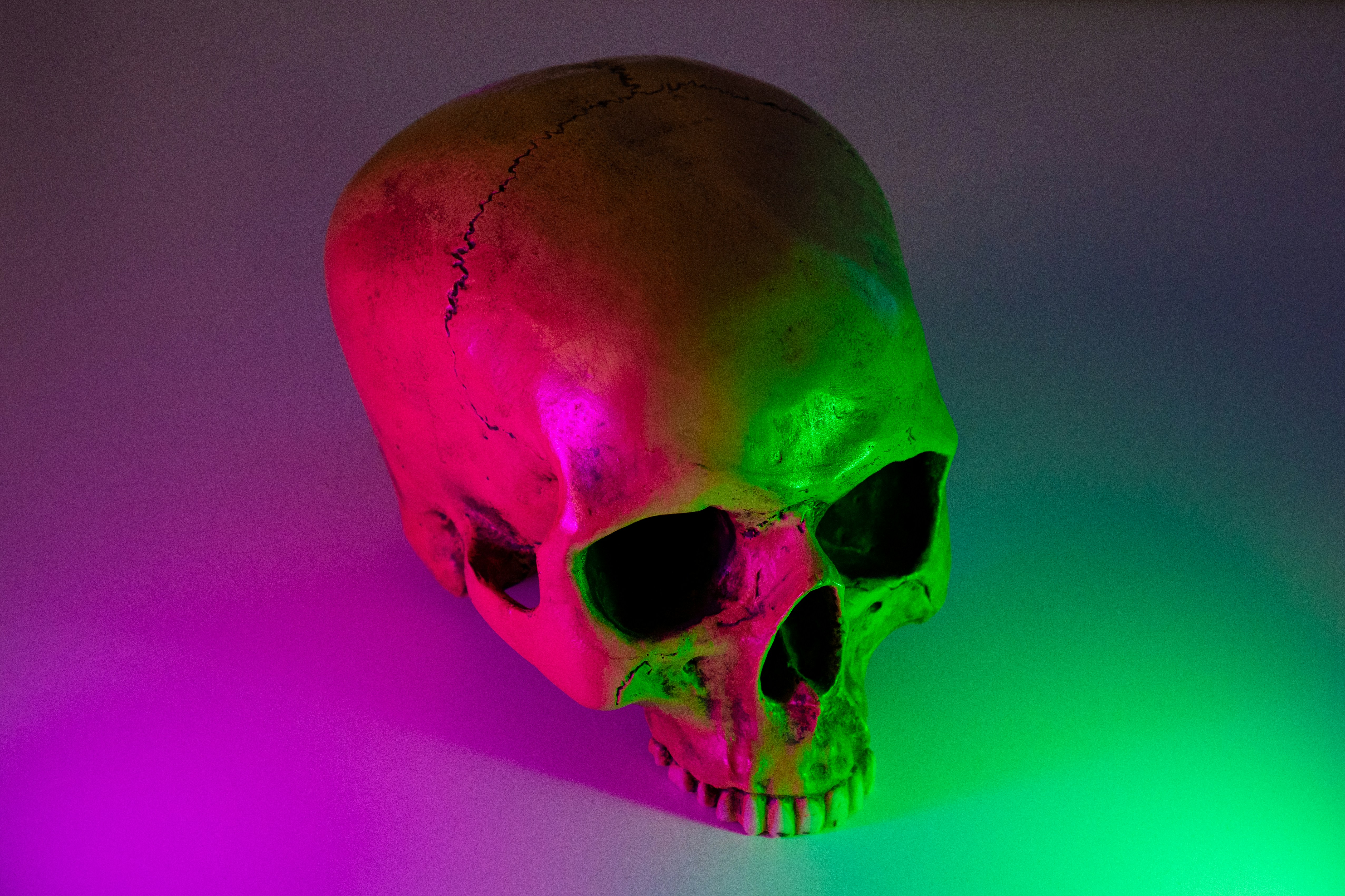 Photo by martinengel