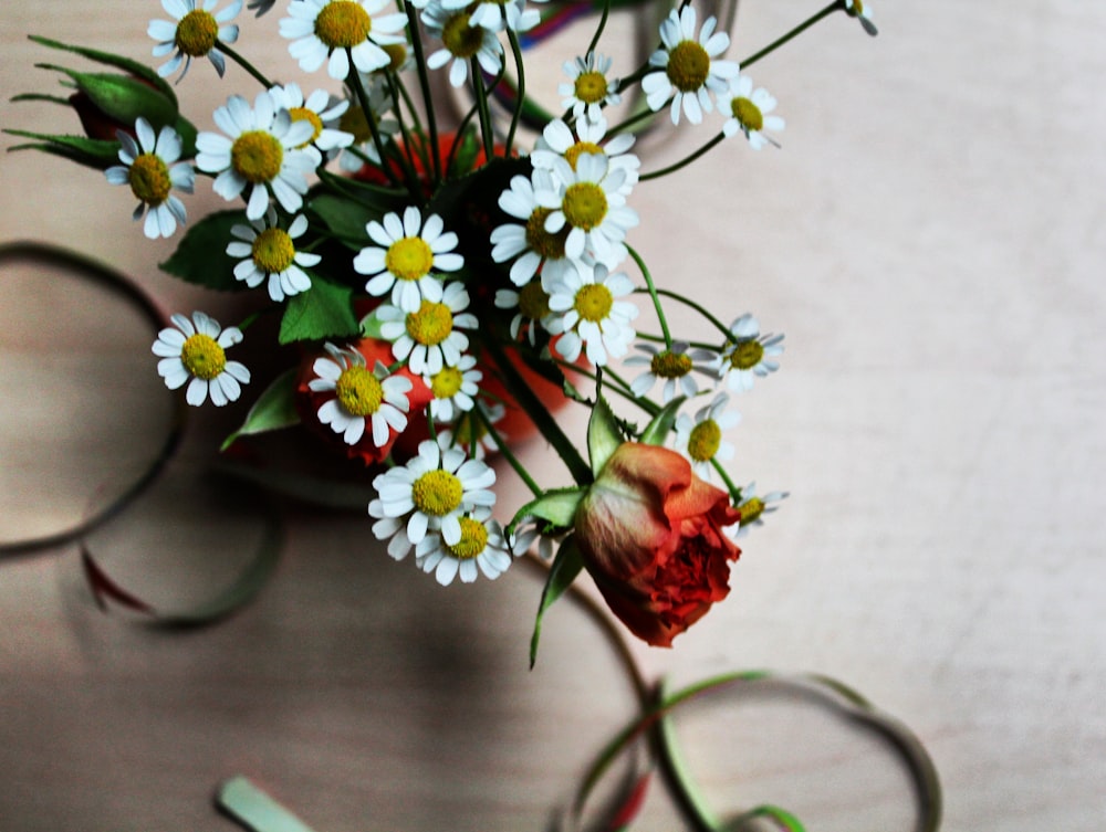 white and yellow daisy flowers in vase