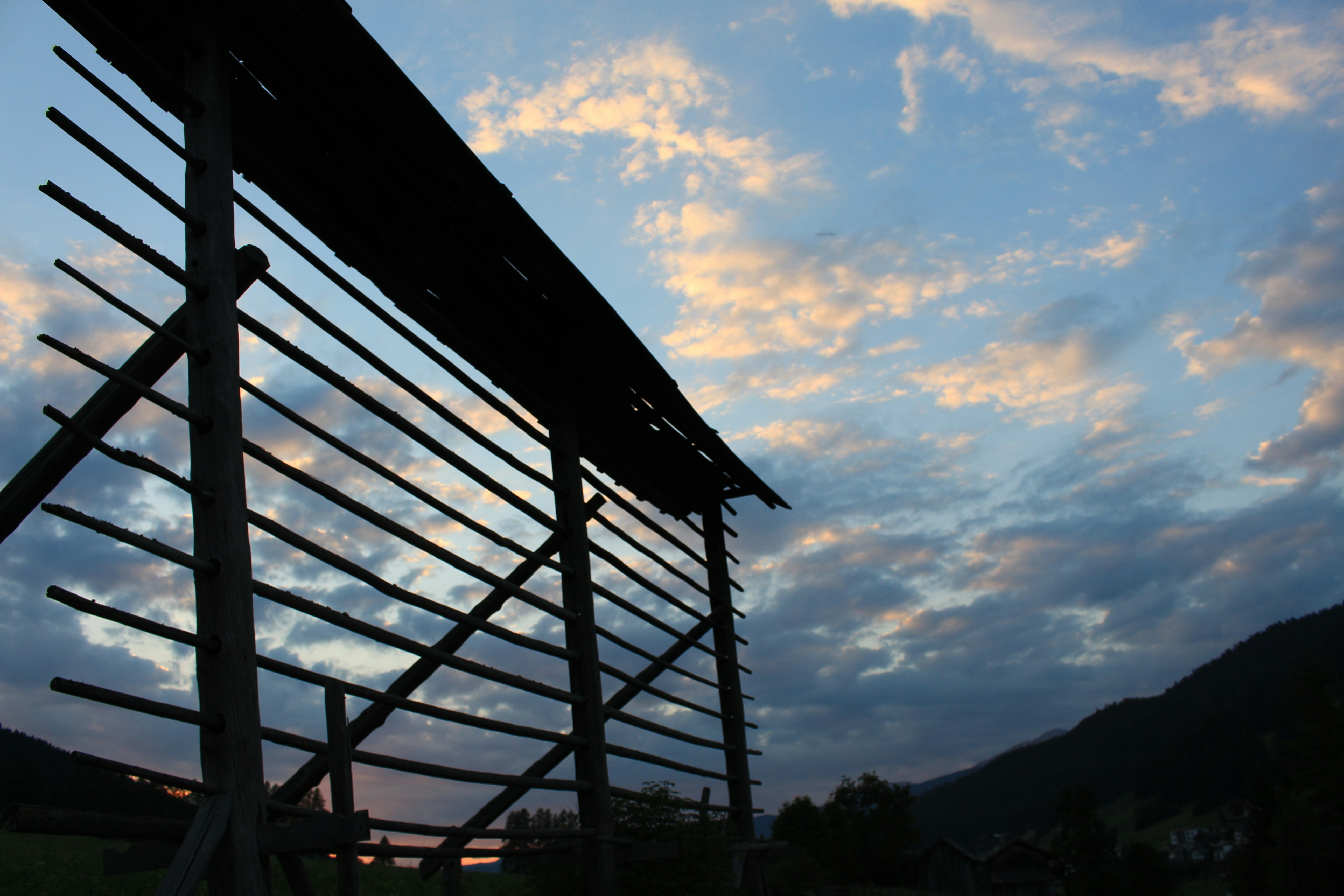 gray metal ladder near house