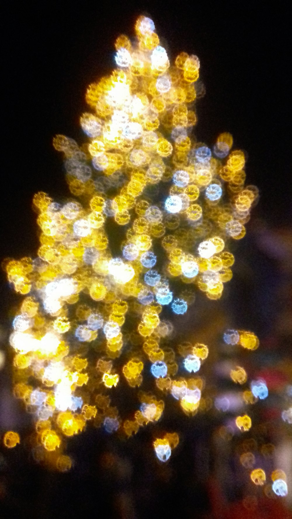 a blurry photo of a christmas tree in the dark