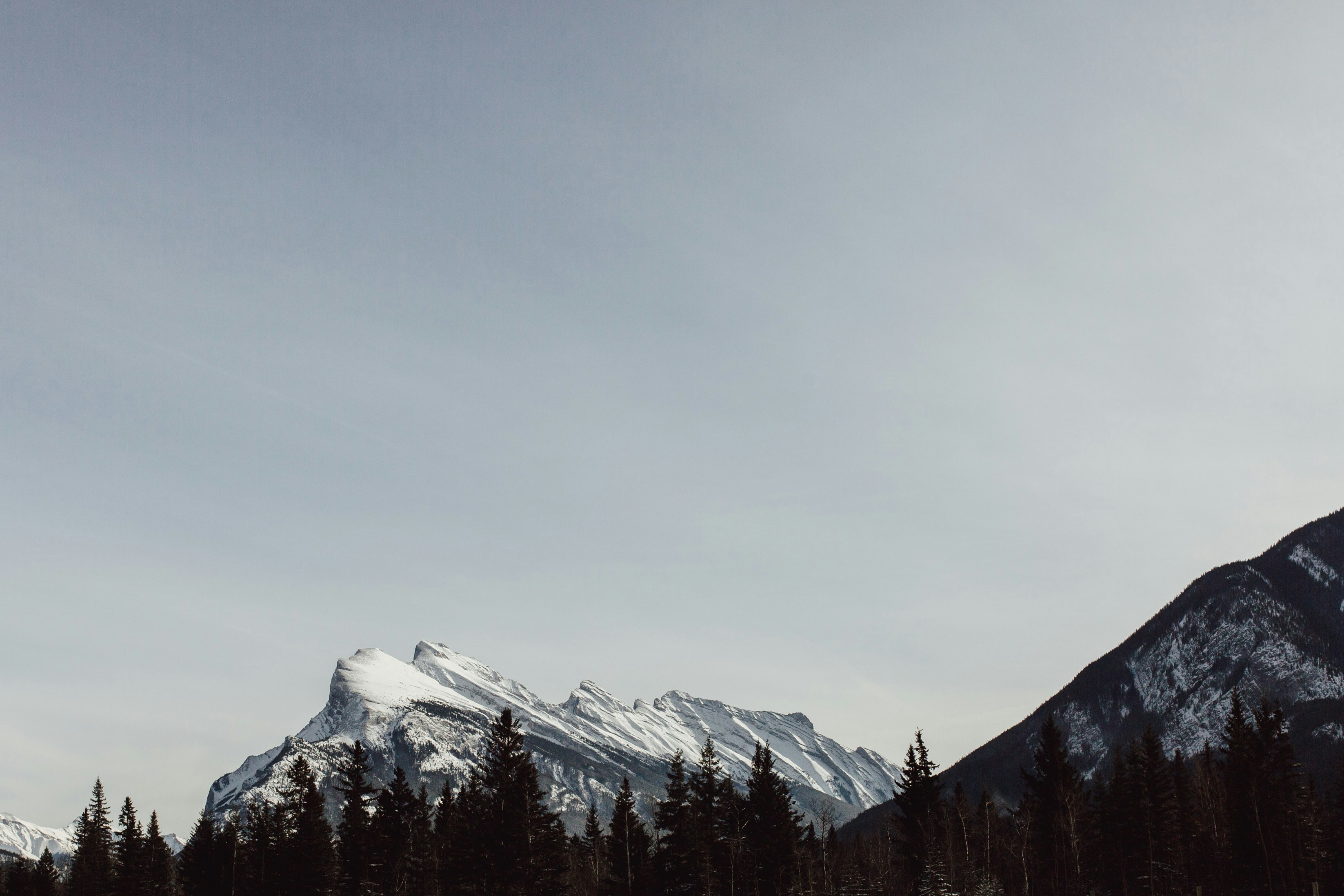 Photo by natureuninterrupted1