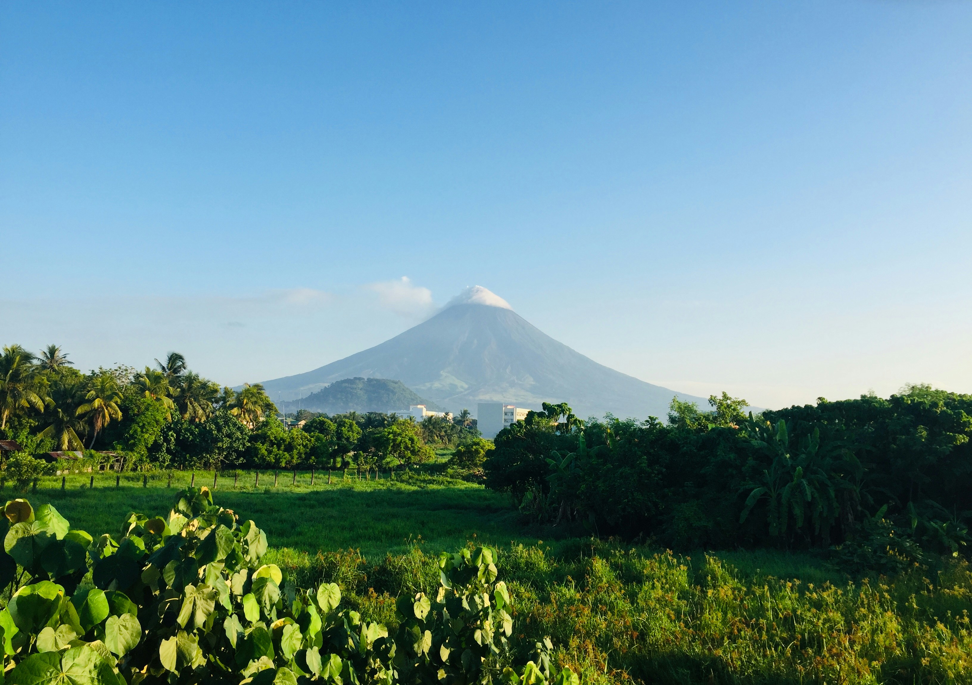 Photo by strawbellei