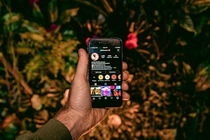 Insta-Influencer