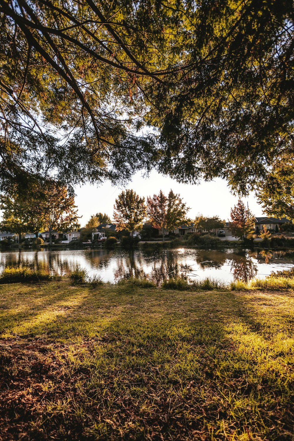 green grass field near lake during daytime