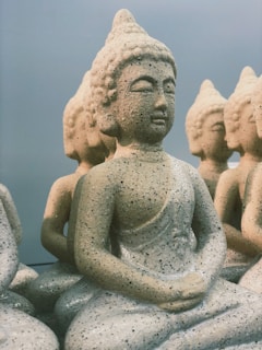A collection of various Buddha statues displayed on wooden shelves in soft natural light.