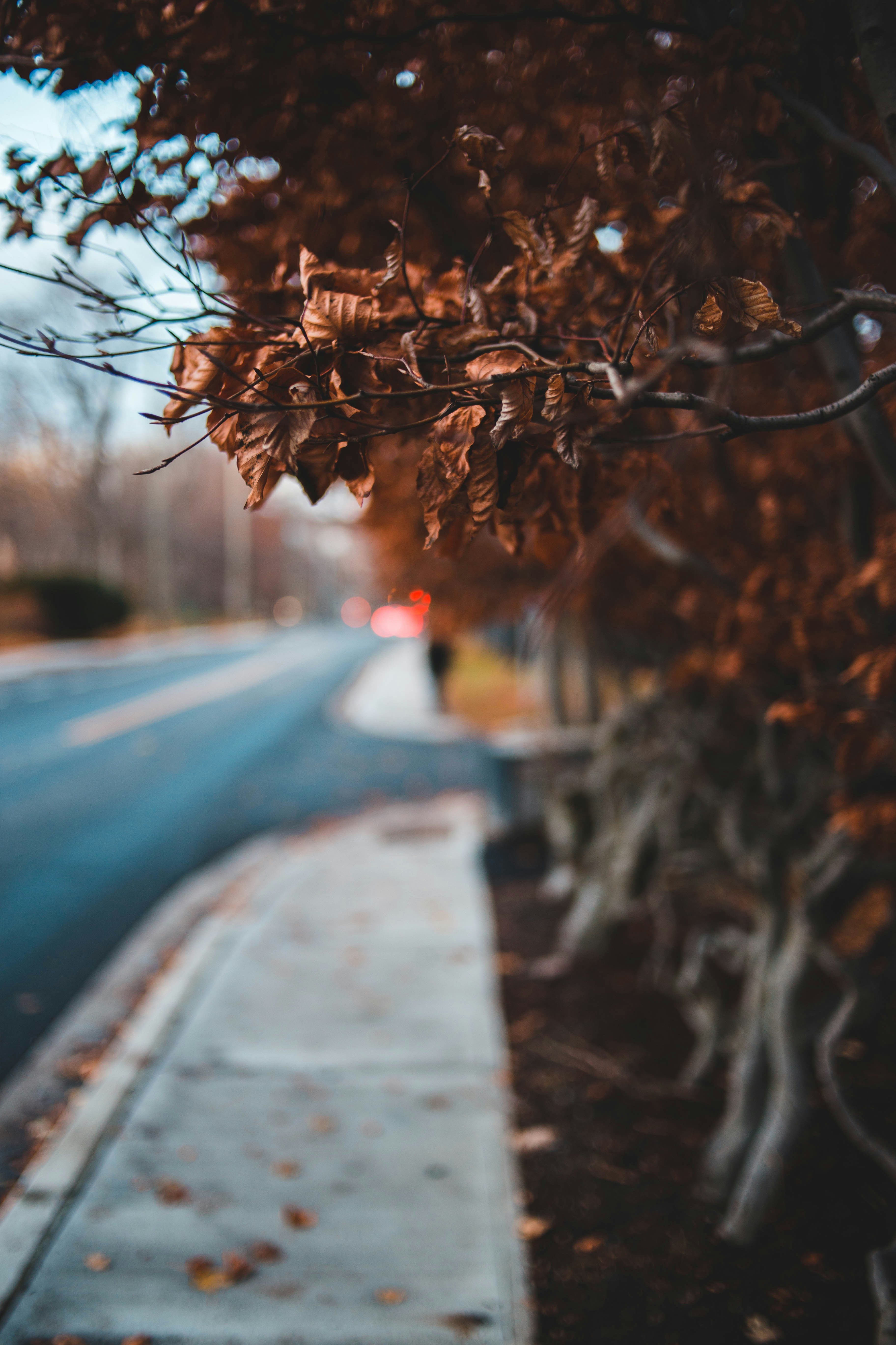 Photo by introspectivedsgn