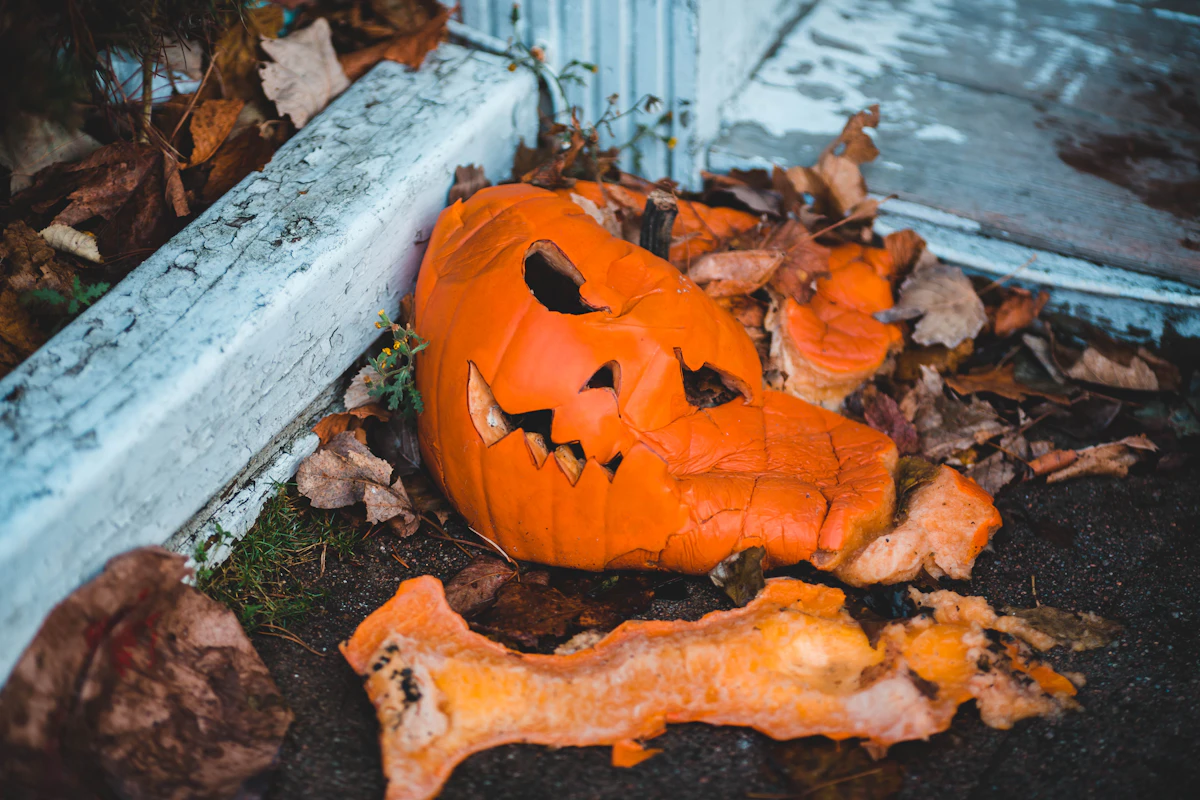 A smashed pumpkin on a curb in the leaves