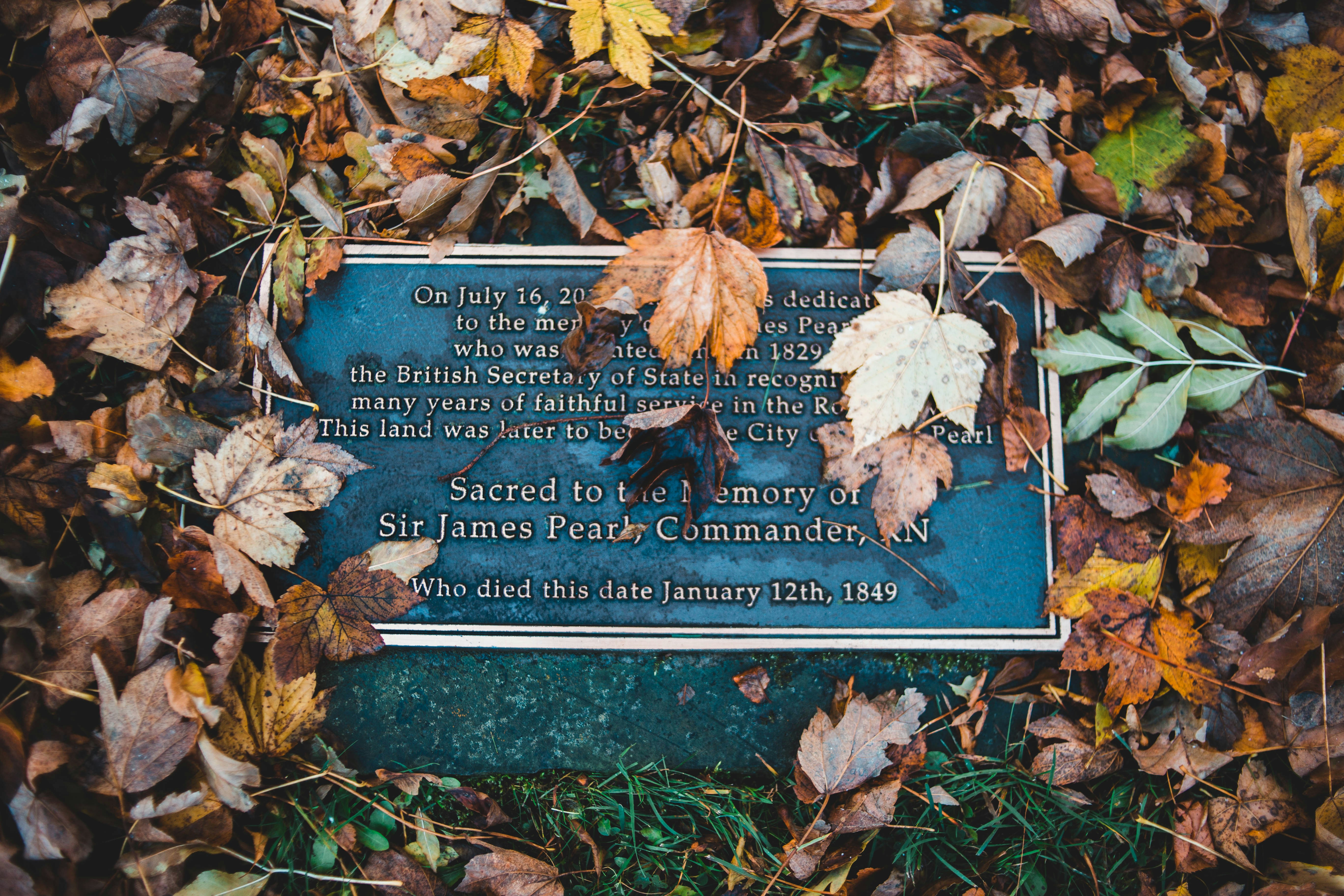 Prohaska Family Memorial Park