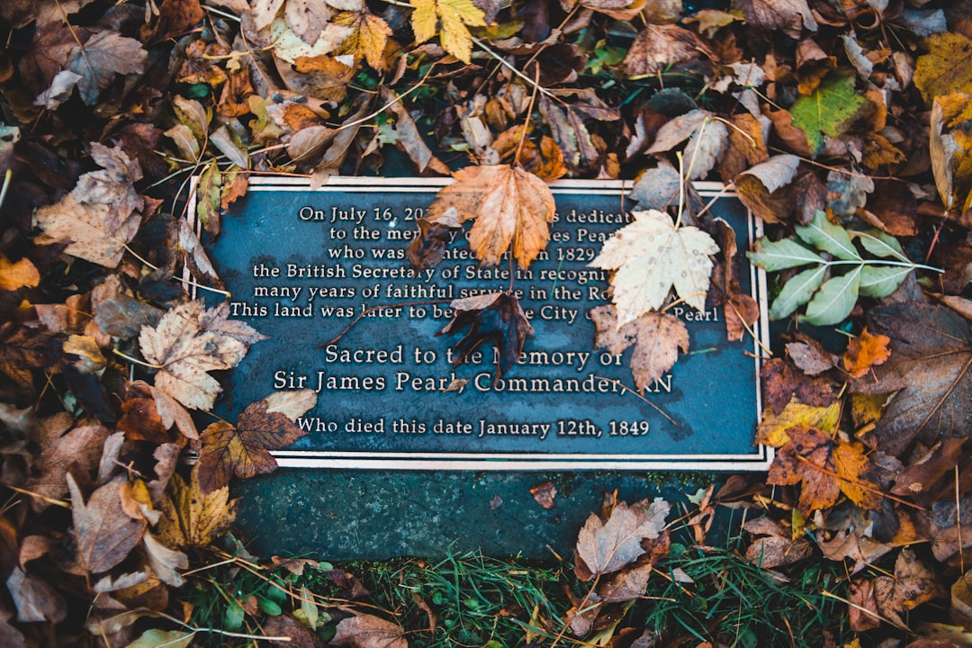 fallen leaves on tomb