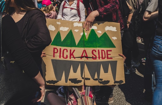 A group of people are gathered, with one person prominently holding a cardboard sign that reads 'PICK A SIDE' in red letters. The sign features a painted image of green mountains and white clouds. The individuals around appear to be part of a crowd, possibly at a public event or protest.
