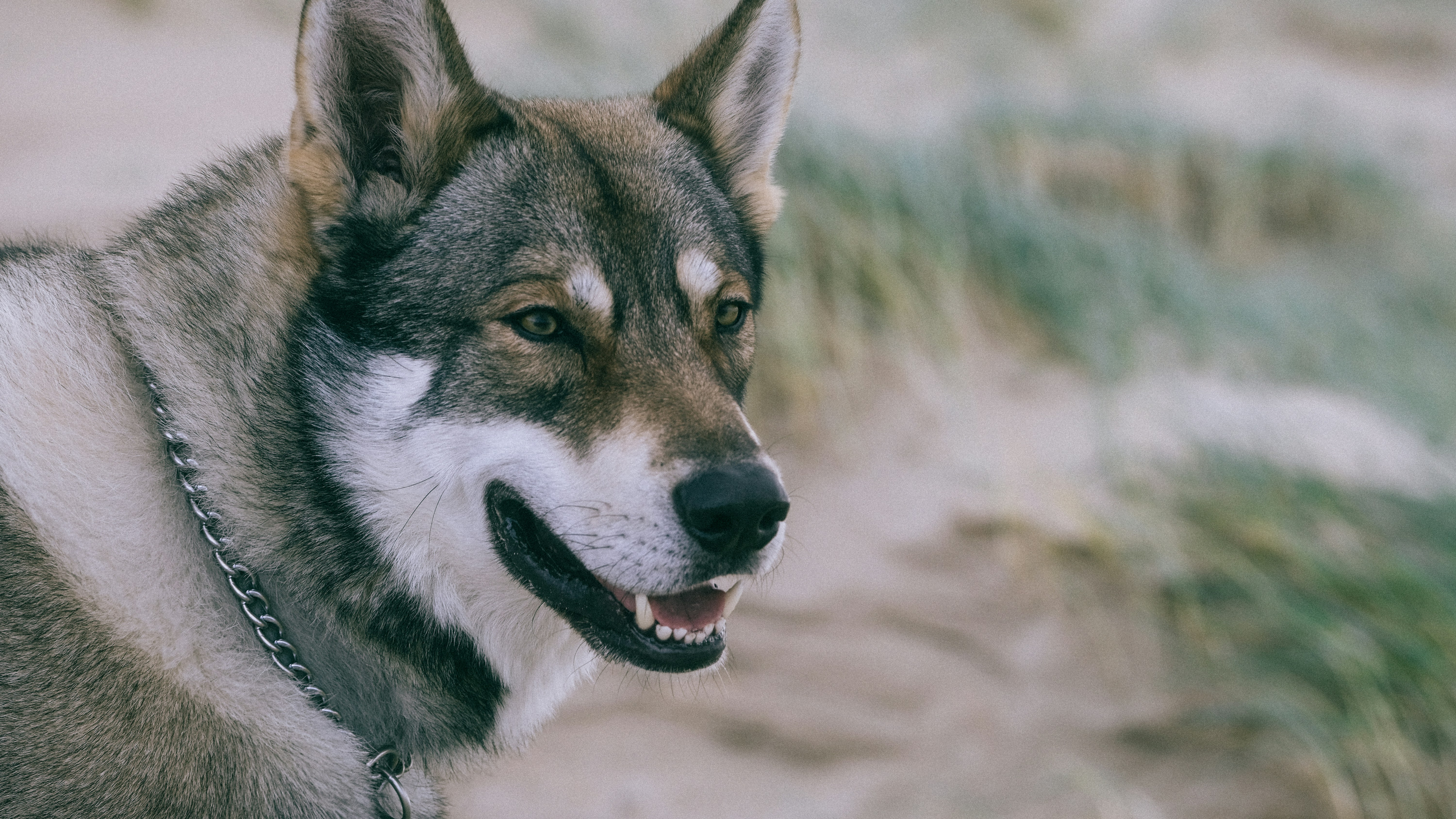 Photo by rowanhartsuiker