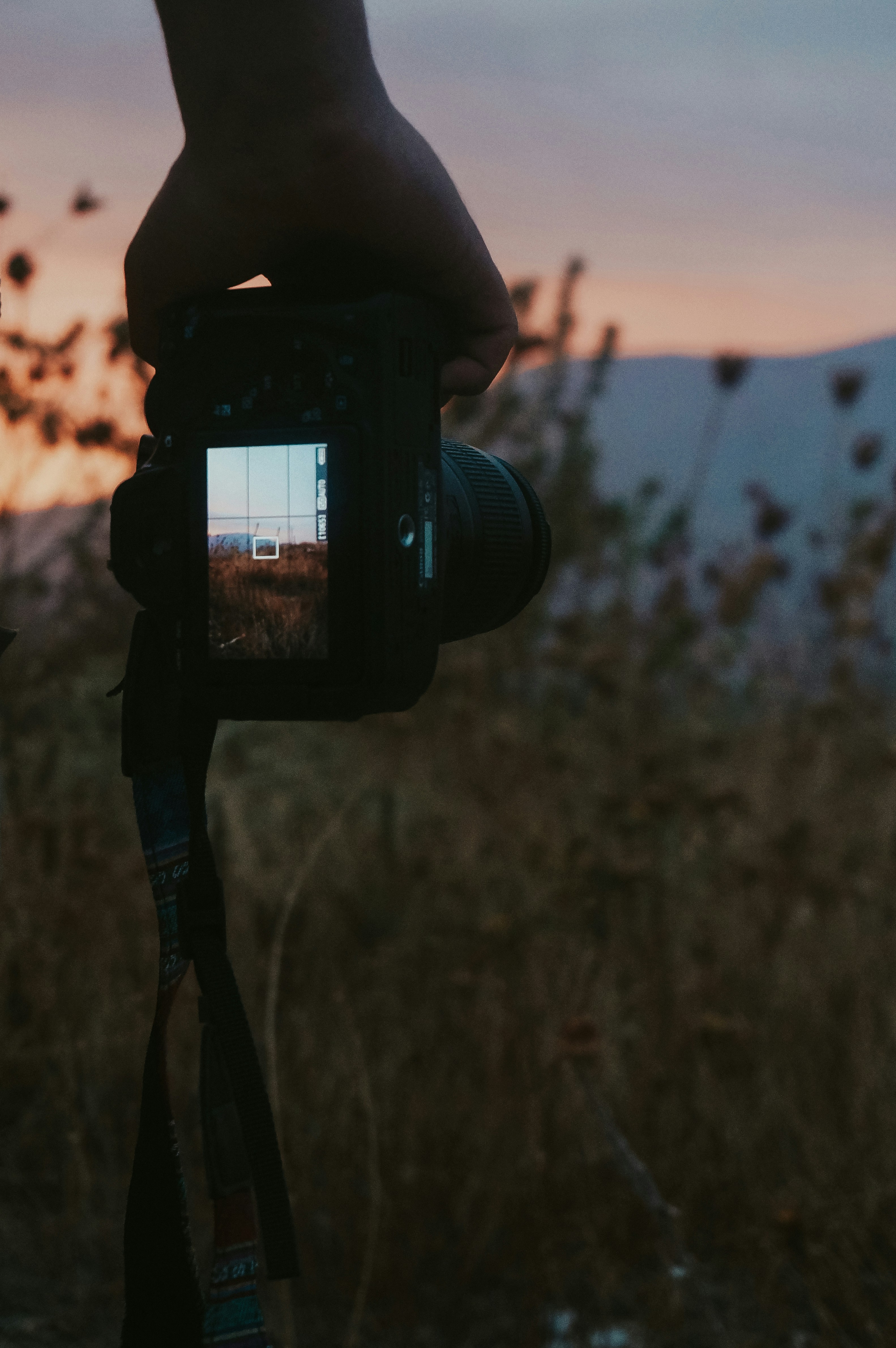 Photo by idris_djoudi