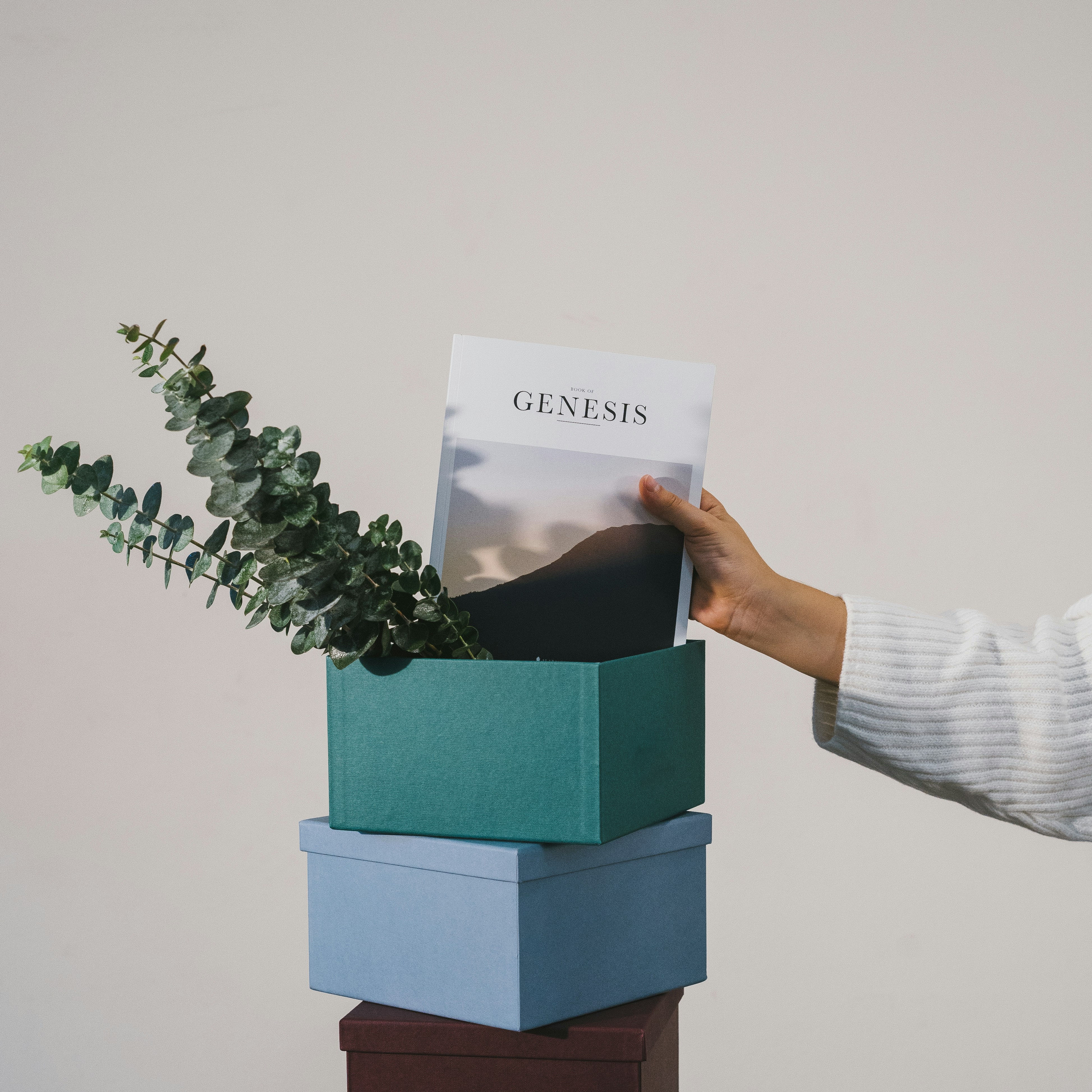 Offerte Bollenti Amazon
