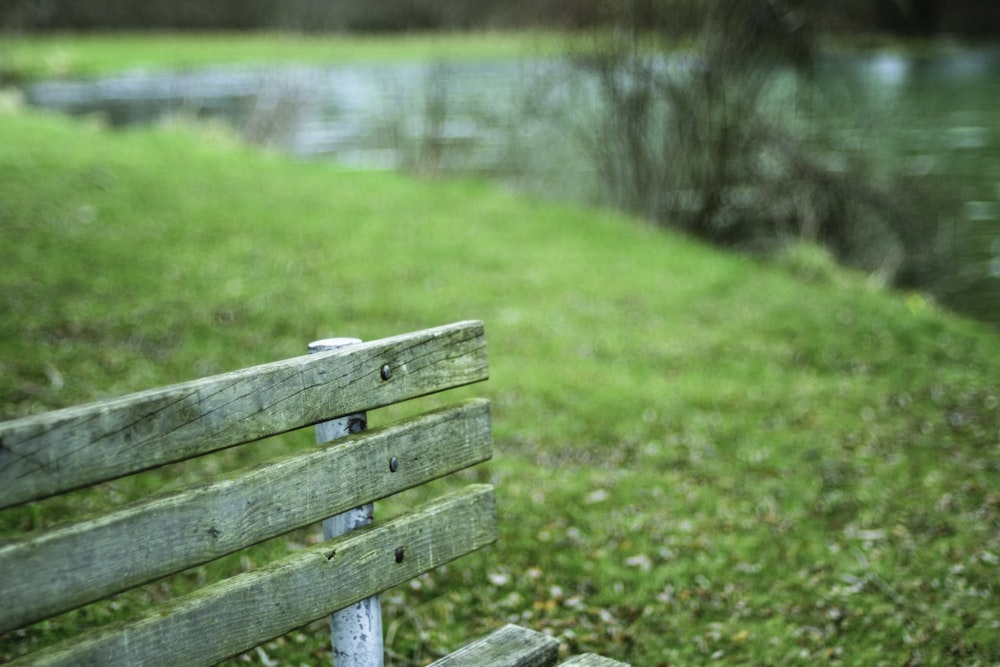 gray wooden bench on green field near body of water