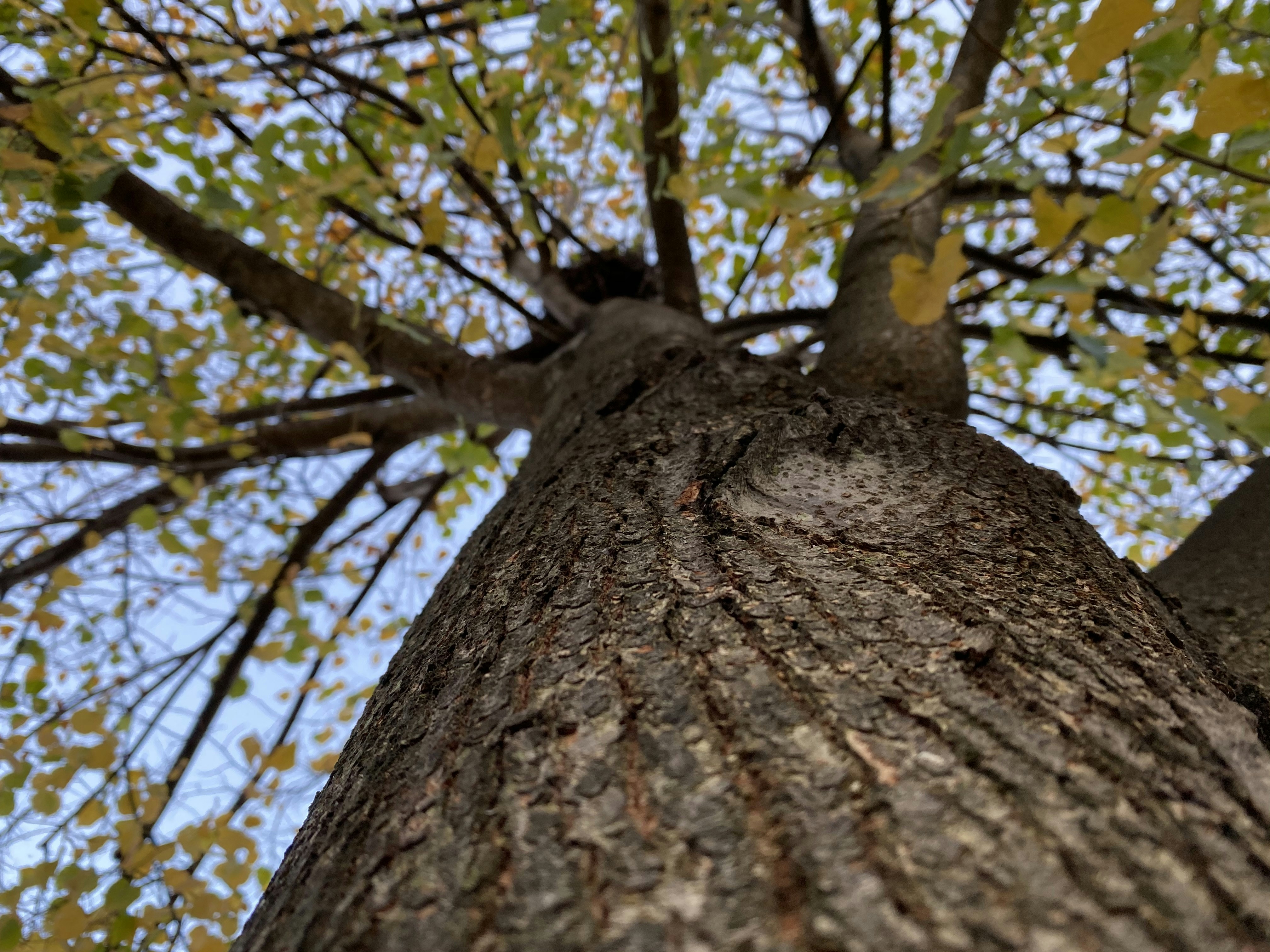 Photo by alextheweinbeeg