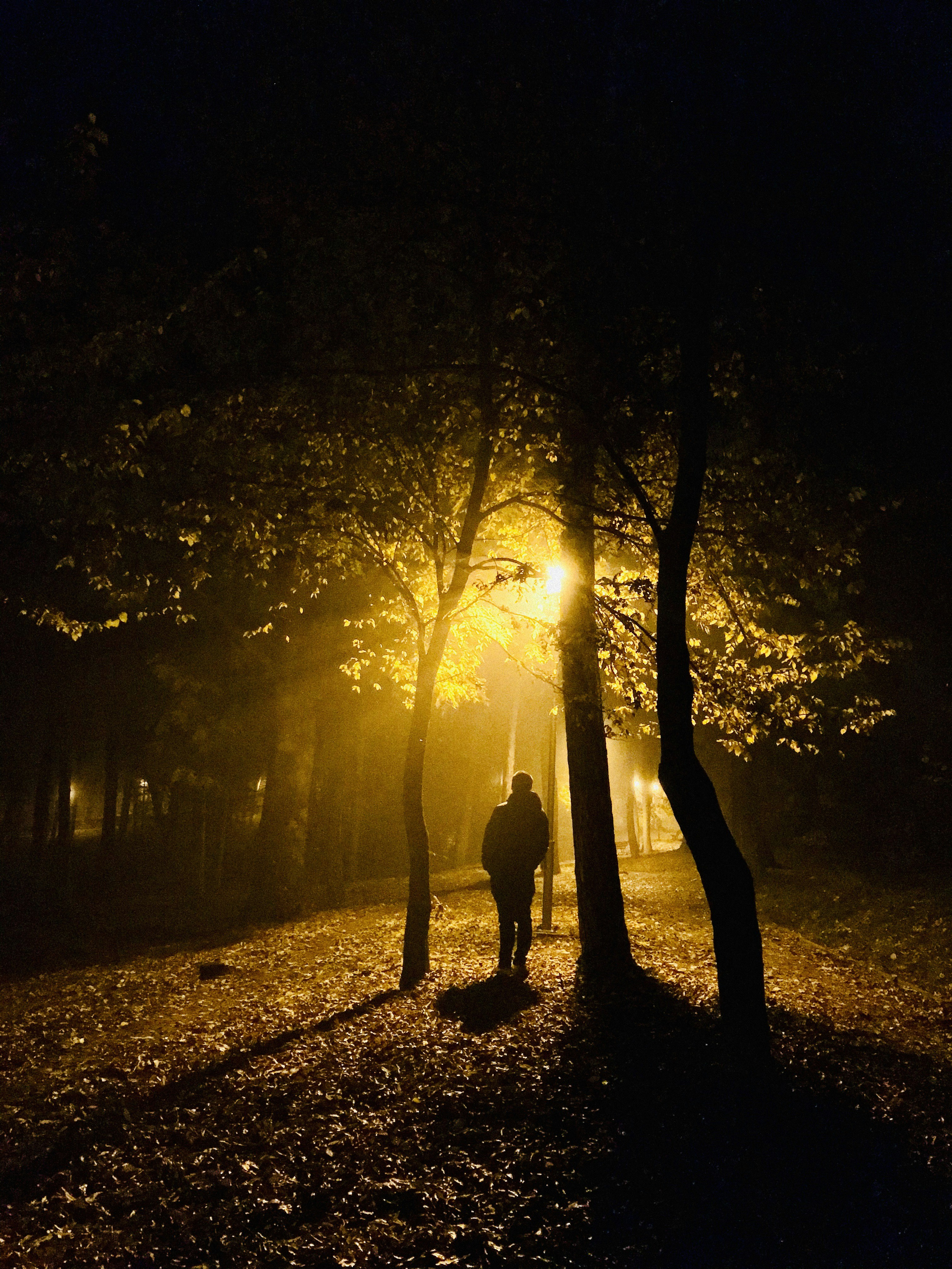 Photo by gabrielatorzsa